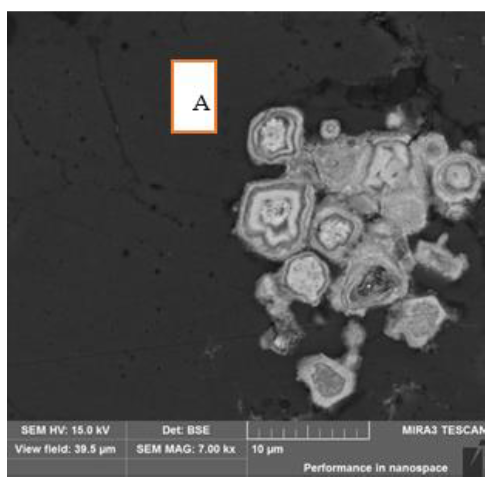 Sustainability 12 05182 g003