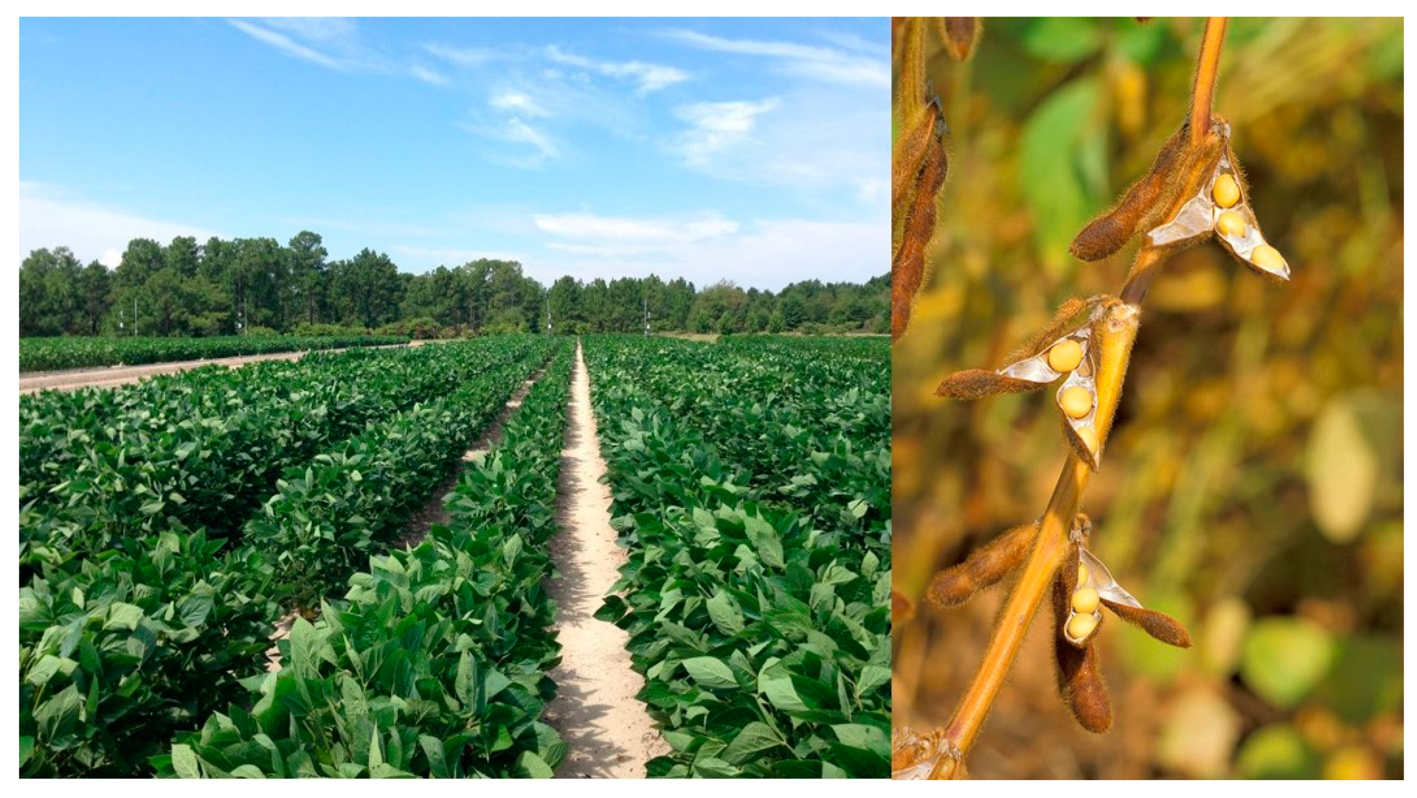 Sustainability 12 05225 g002