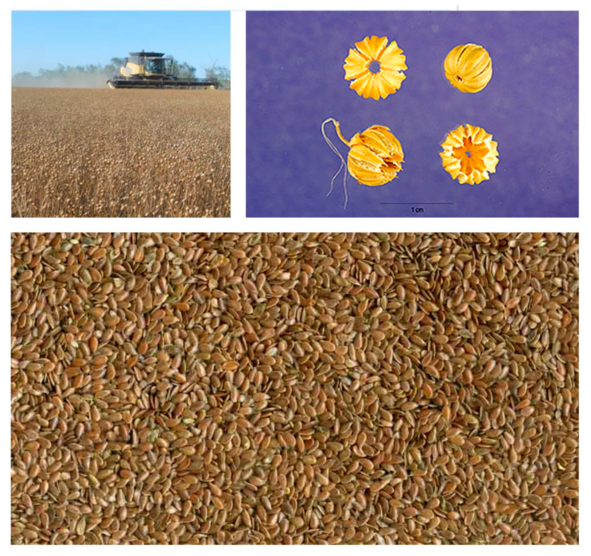 Sustainability 12 05225 g003