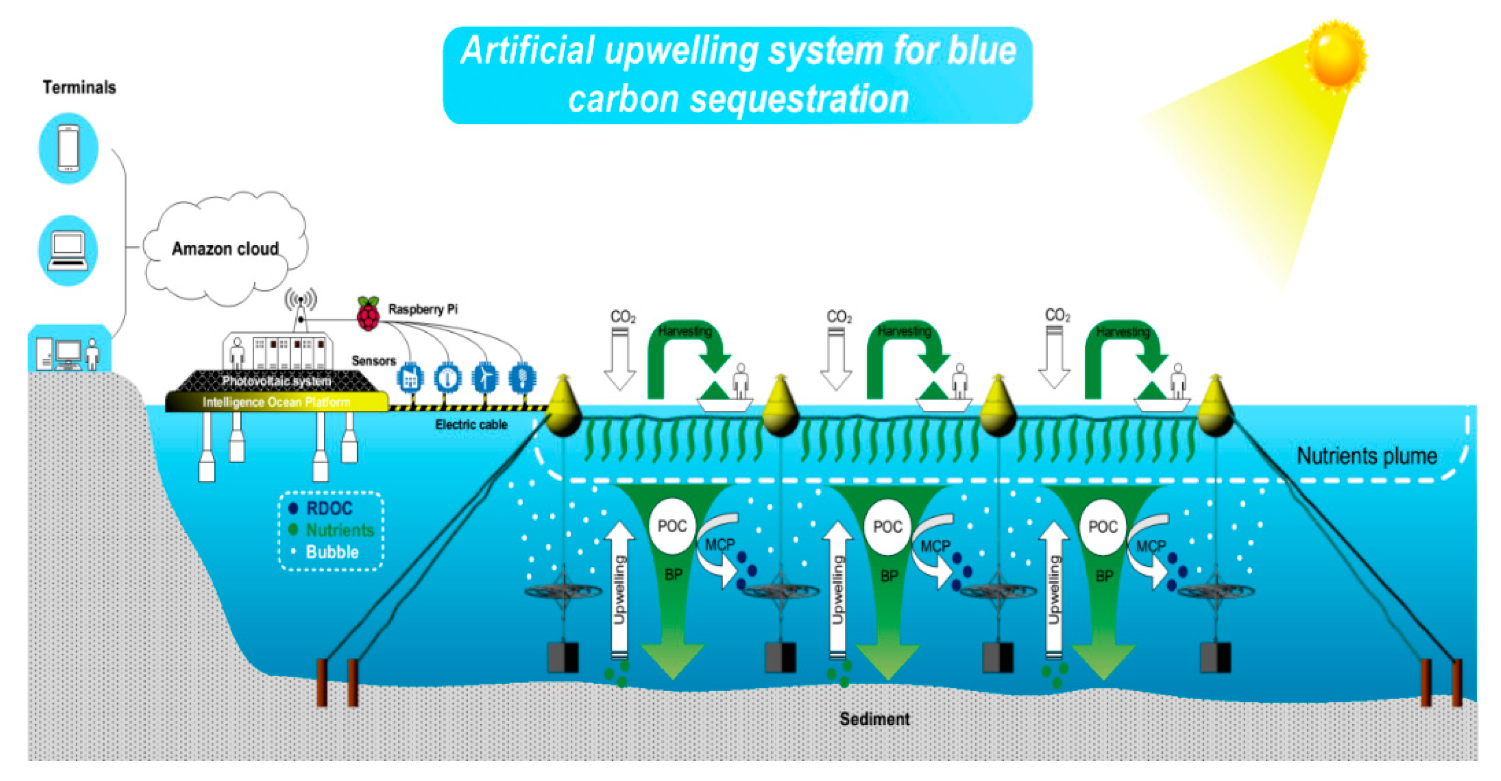 Sustainability 12 05227 g001
