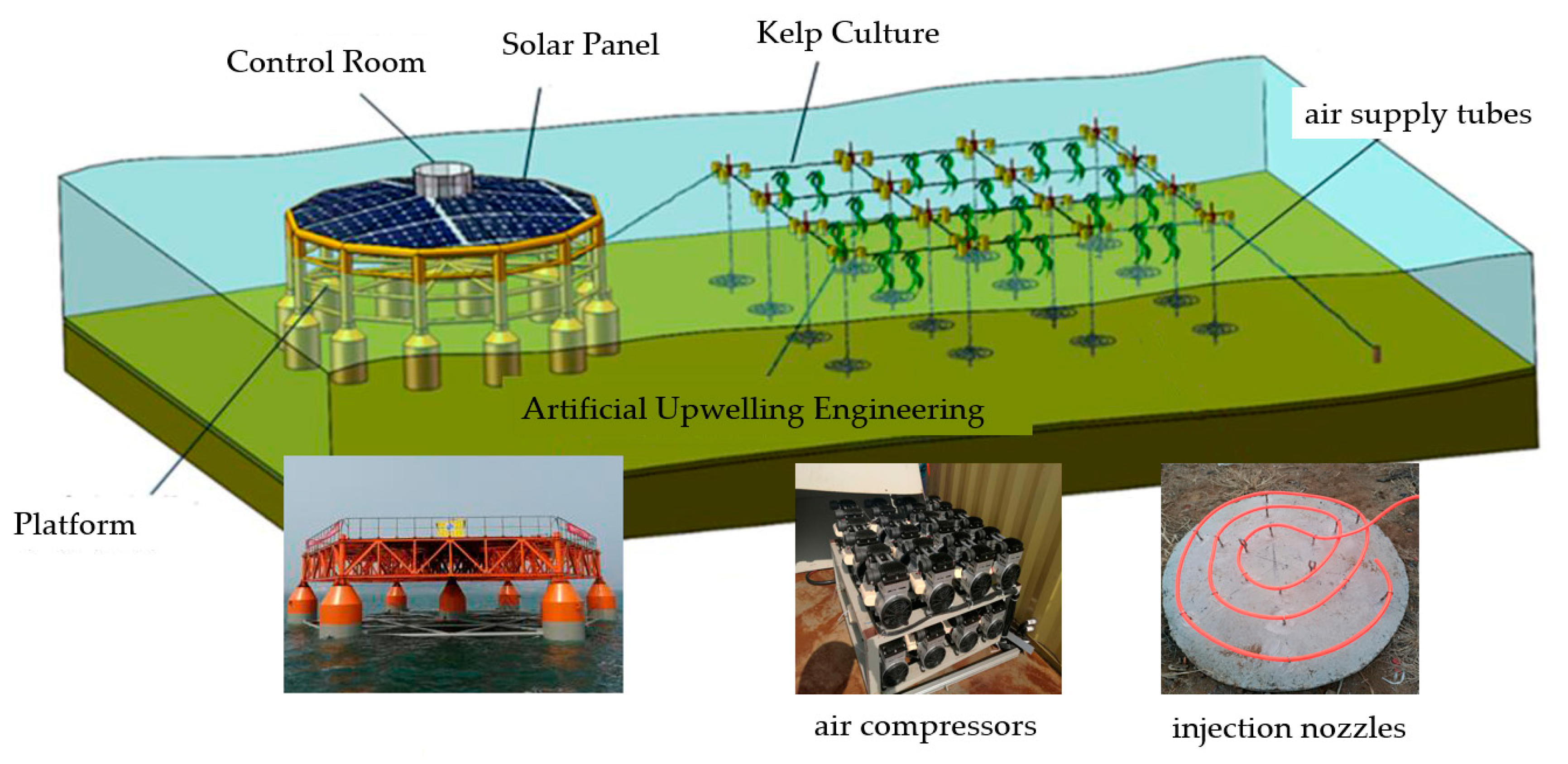 Sustainability 12 05227 g002