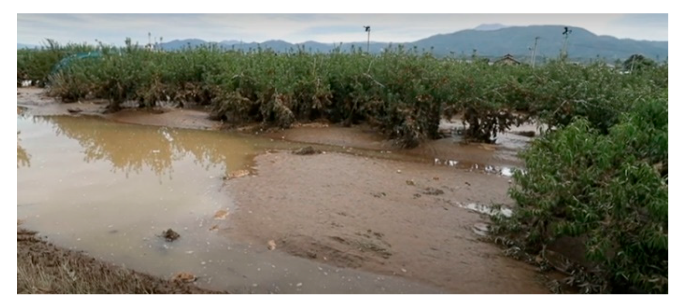 Sustainability 12 05357 g011