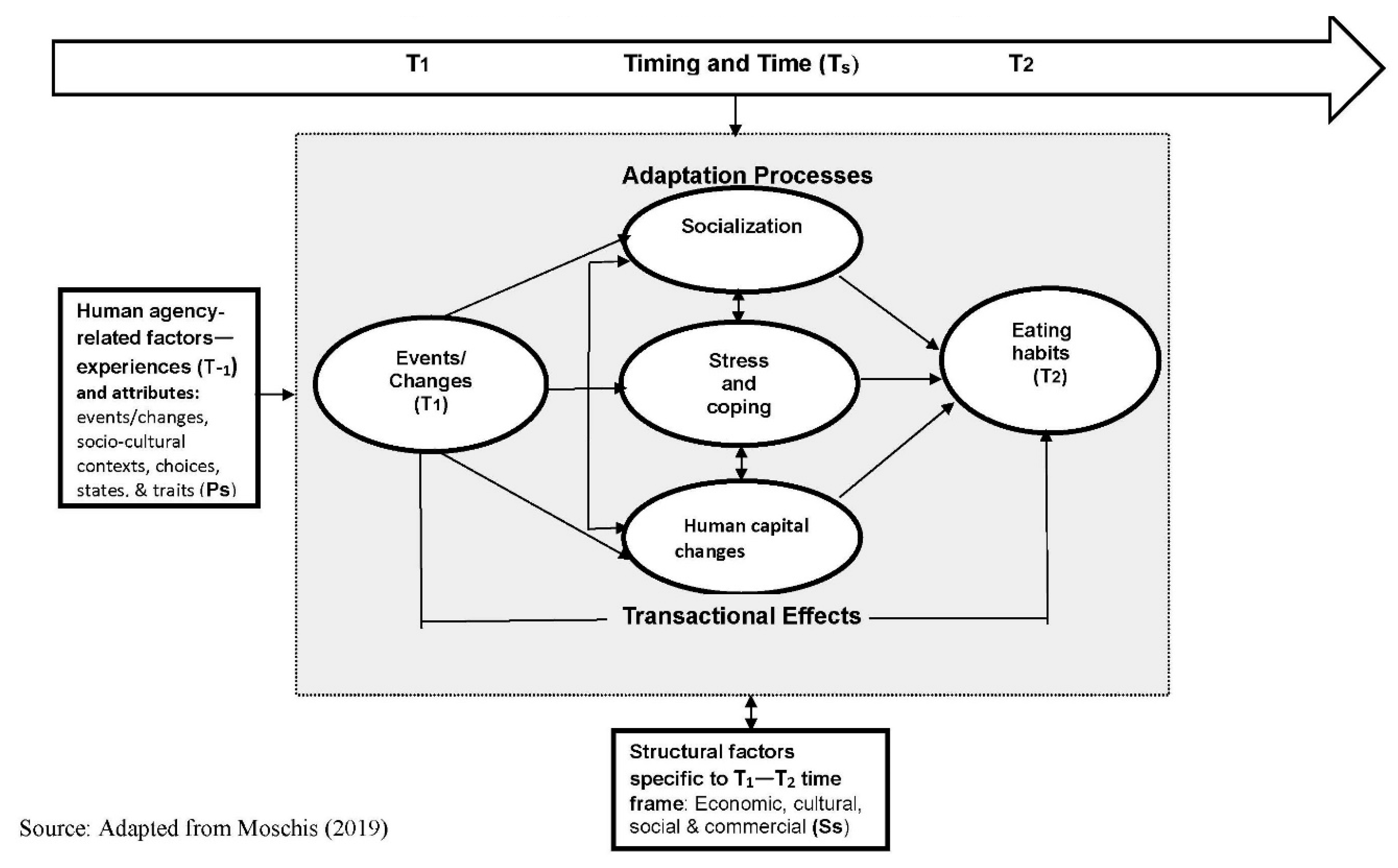 Sustainability 12 05359 g001