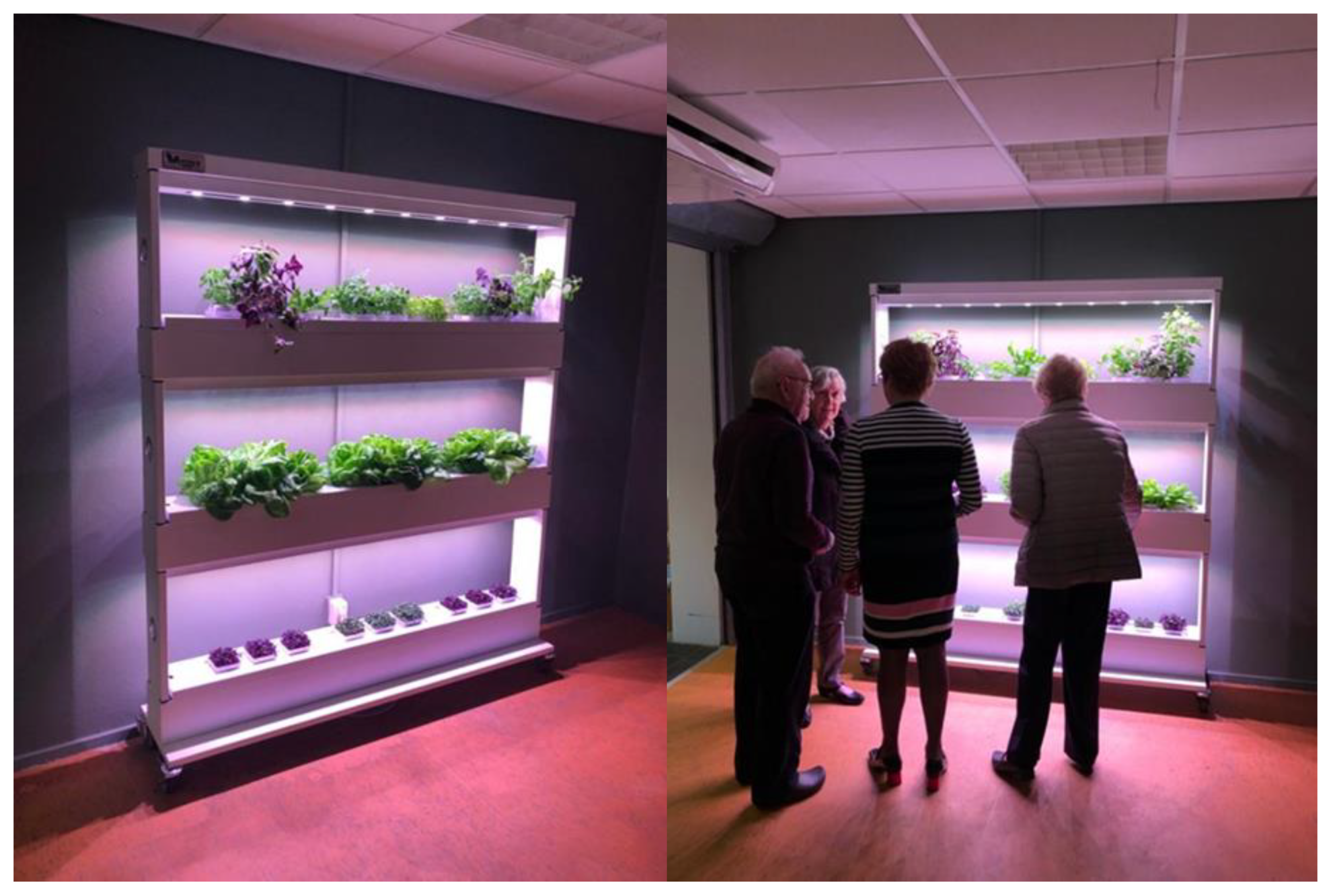 Sustainability 12 05379 g001 Sustainability 12 05379 g001