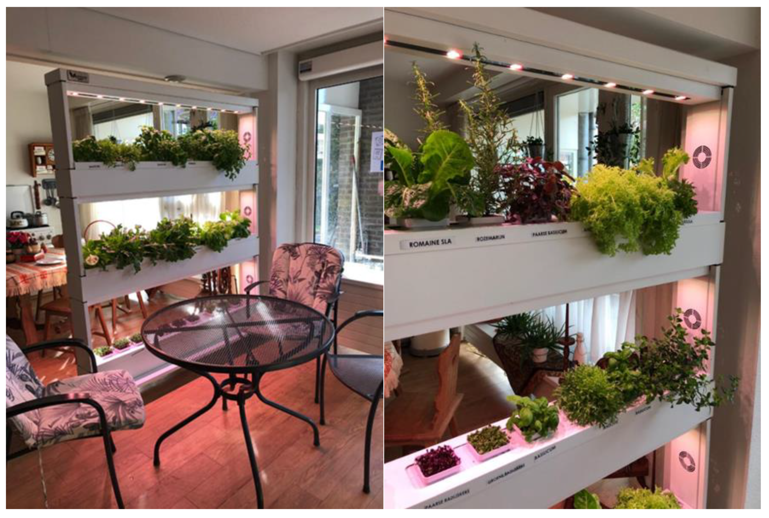 Sustainability 12 05379 g002 Sustainability 12 05379 g002