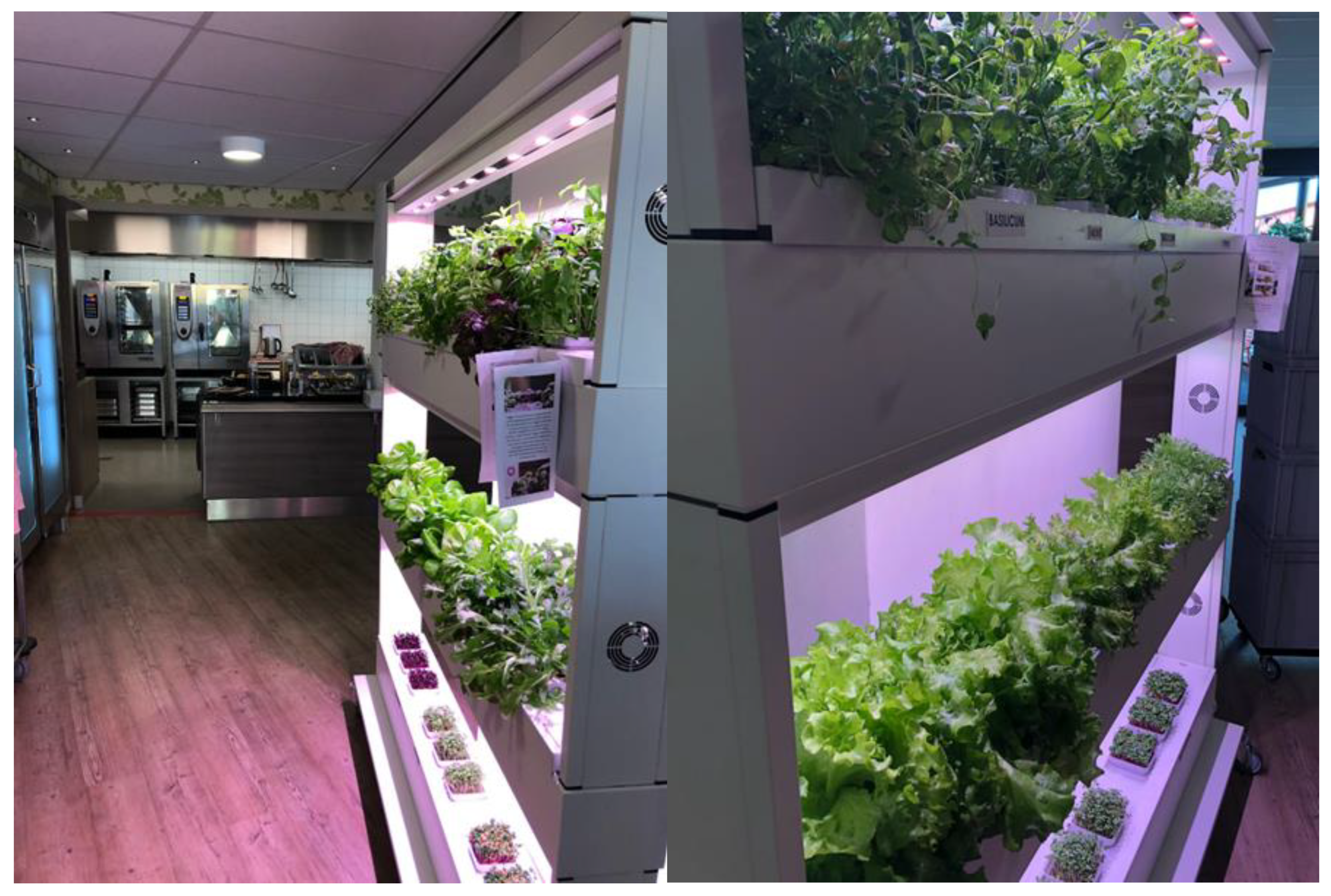 Sustainability 12 05379 g003 Sustainability 12 05379 g003