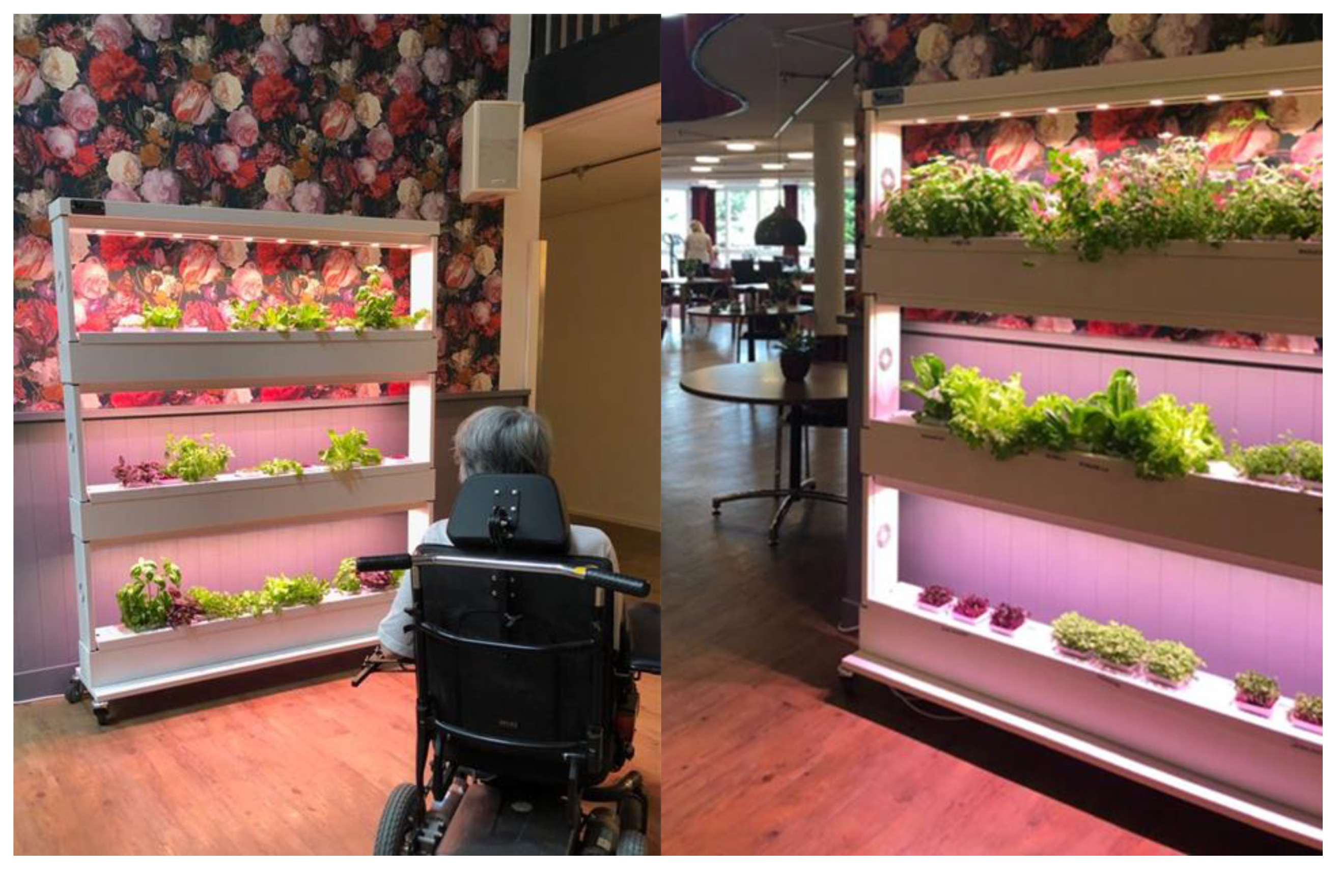 Sustainability 12 05379 g004 Sustainability 12 05379 g004