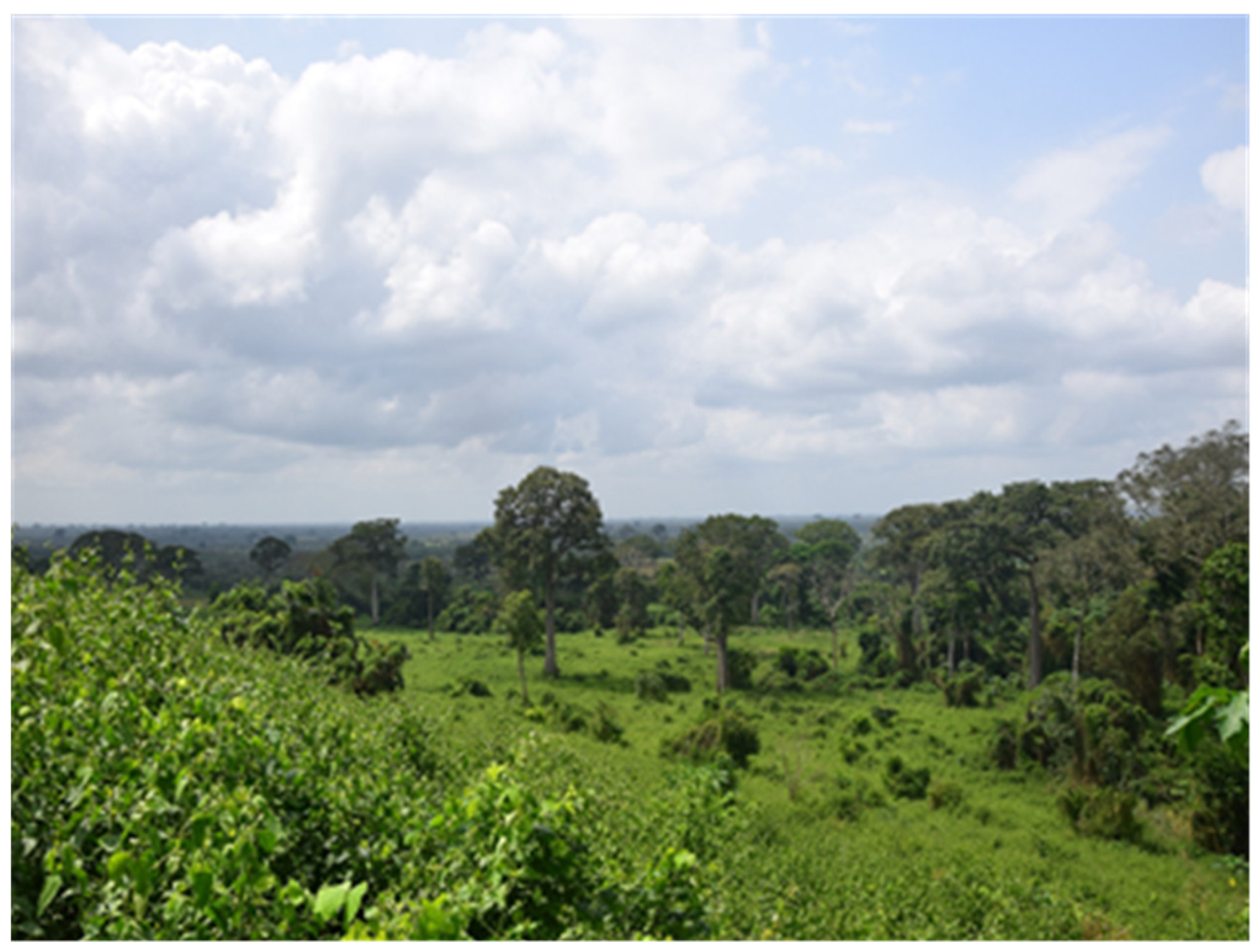 Sustainability 12 05439 g009