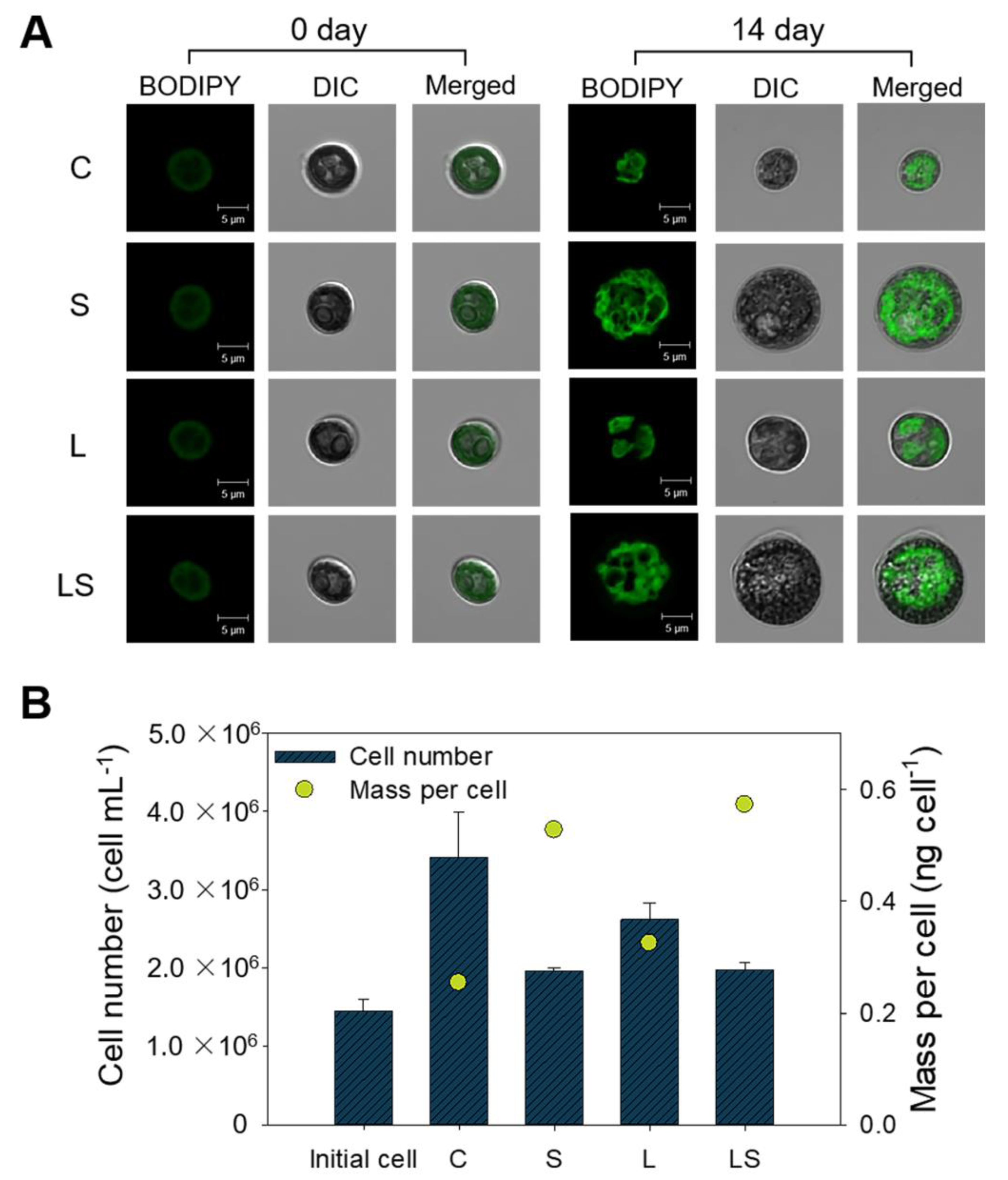 Sustainability 12 05445 g003 Sustainability 12 05445 g003