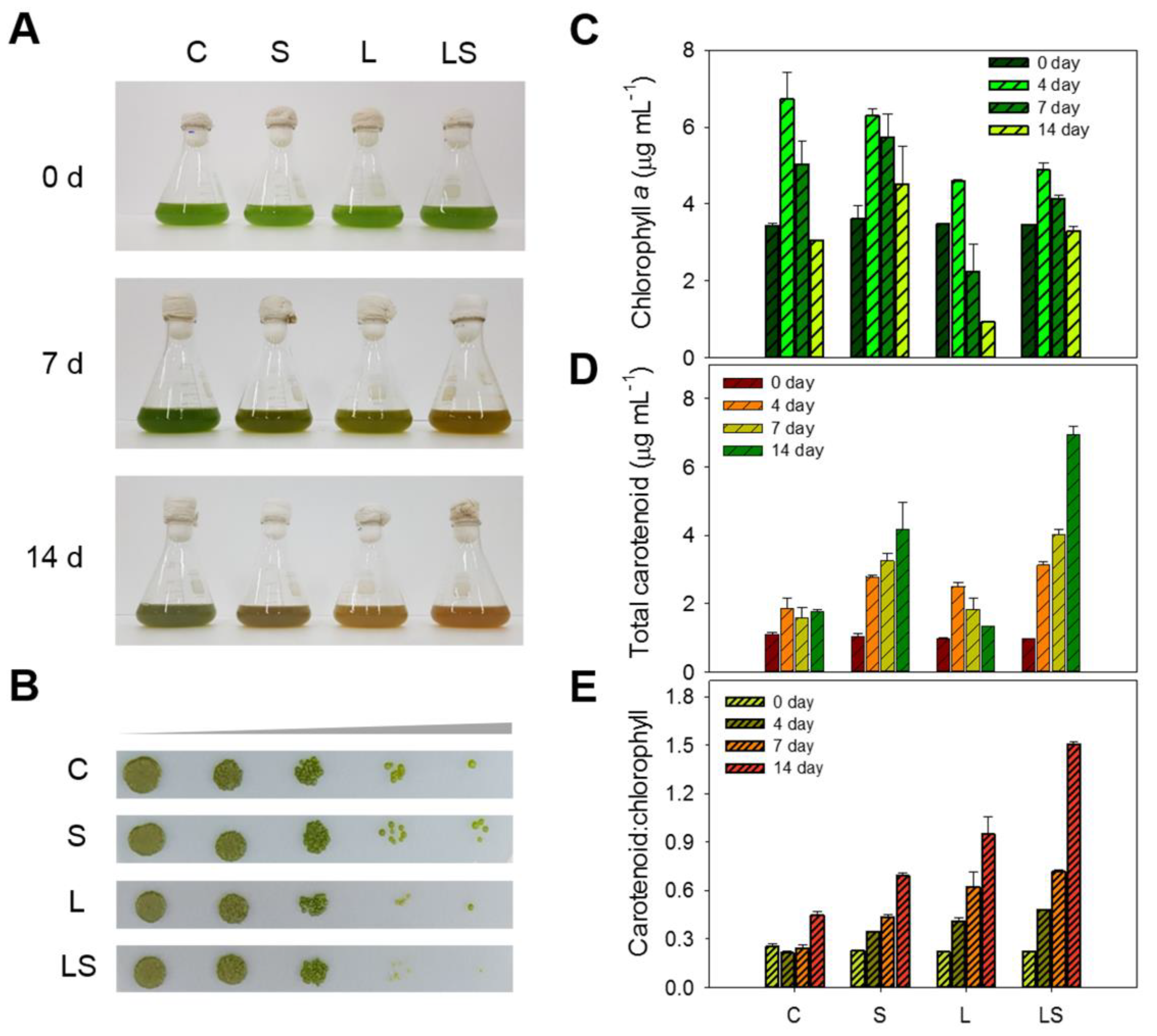 Sustainability 12 05445 g005 Sustainability 12 05445 g005