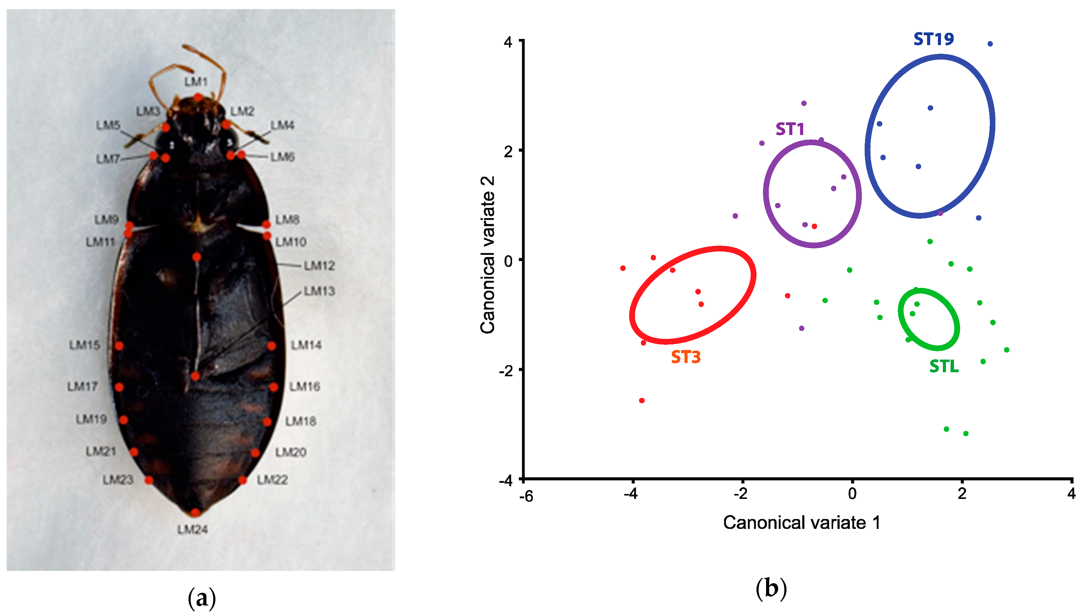 Sustainability 12 05481 g002