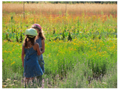 Sustainability 12 05510 g002