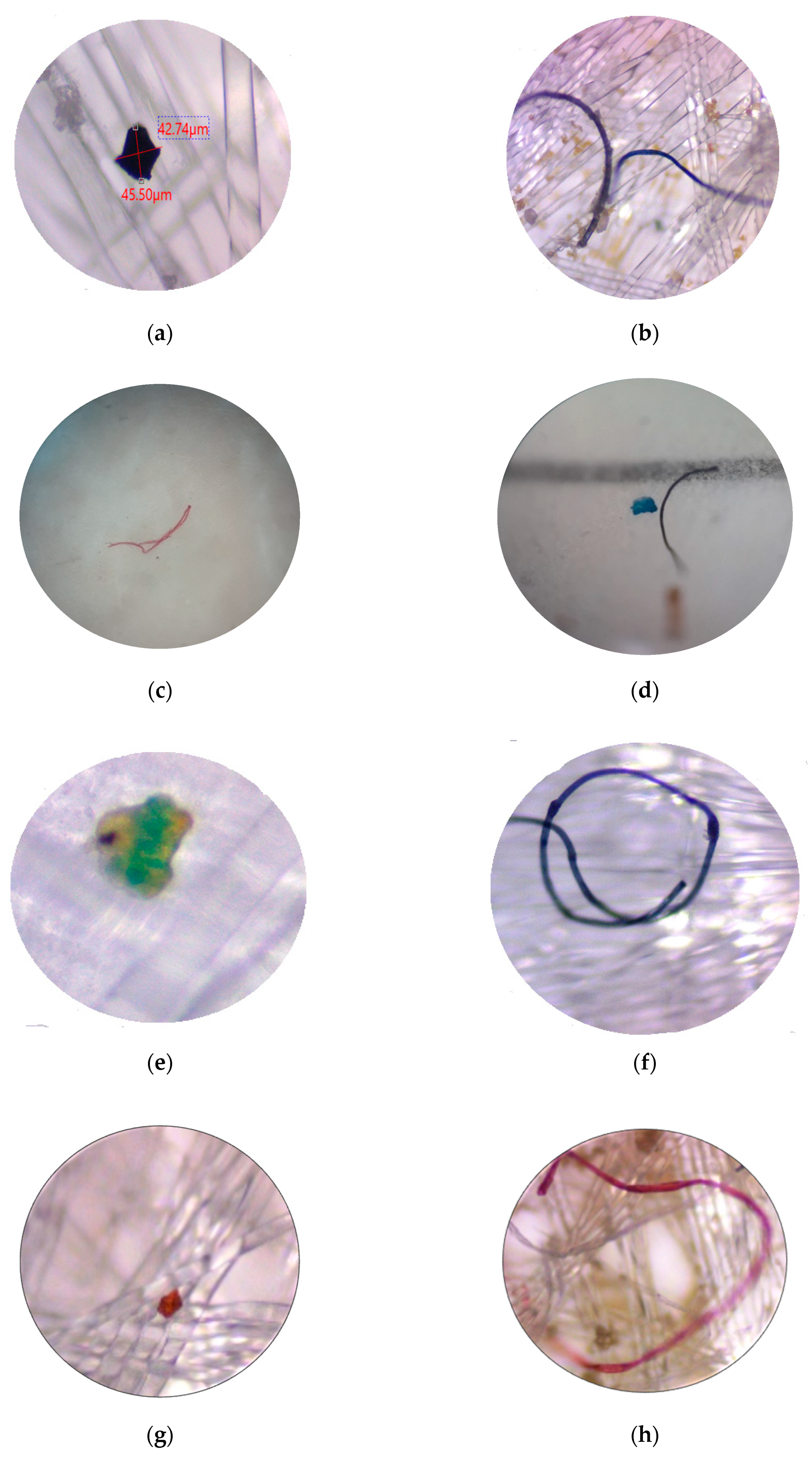 Sustainability 12 05514 g003