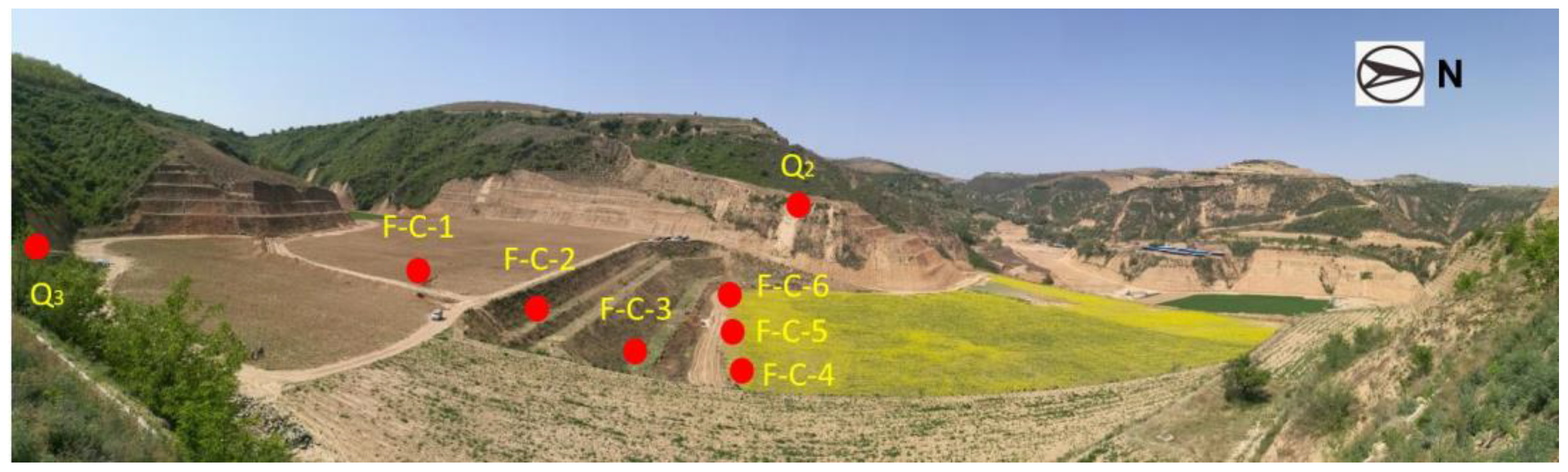 Sustainability 12 05516 g003
