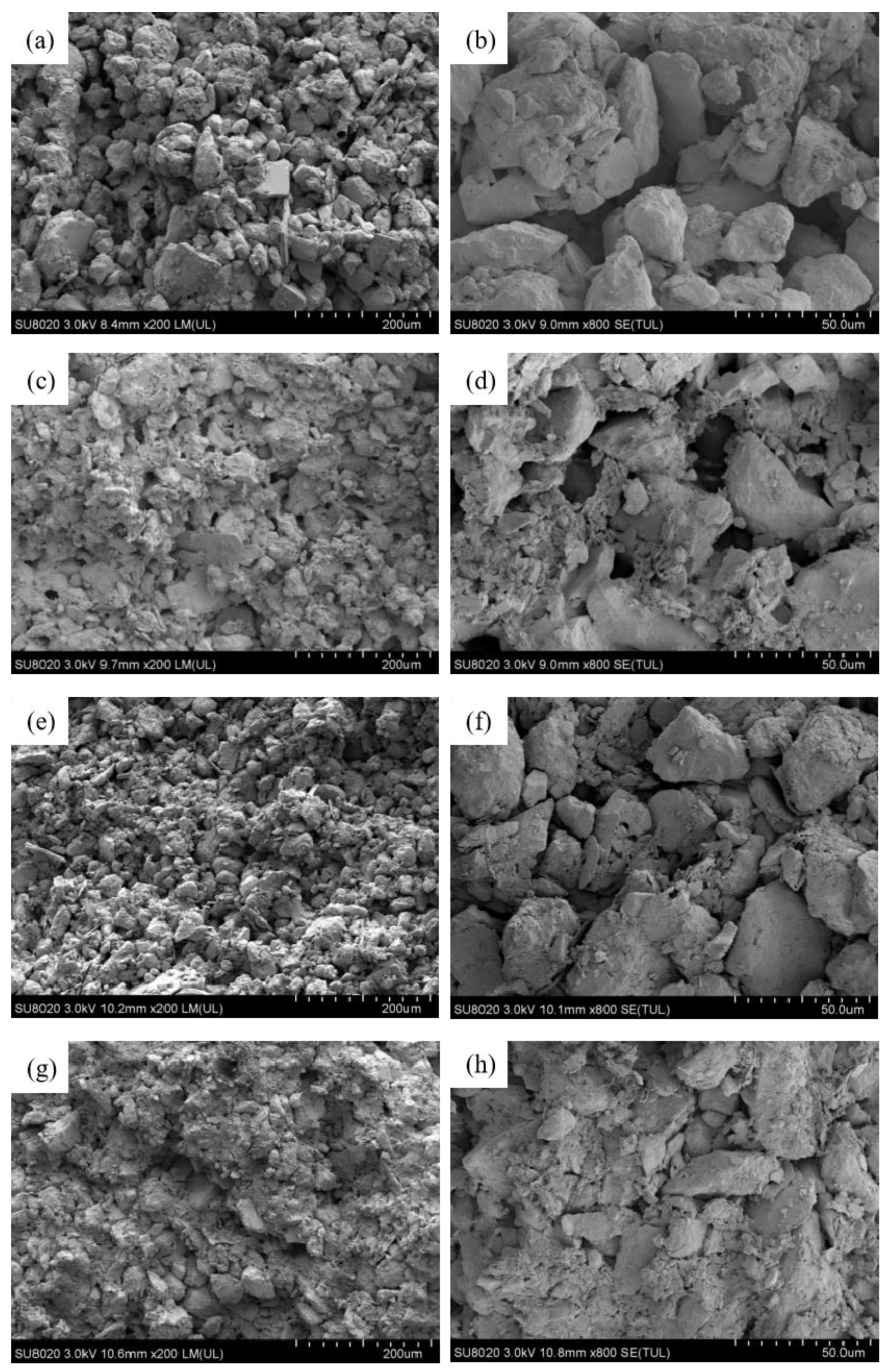 Sustainability 12 05516 g010