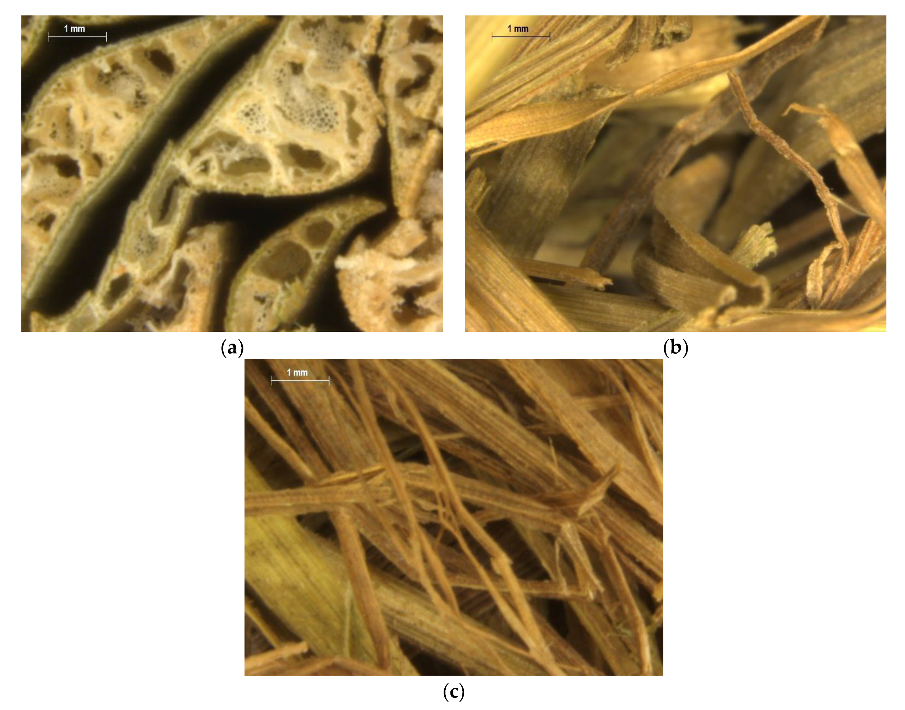 Sustainability 12 05533 g002