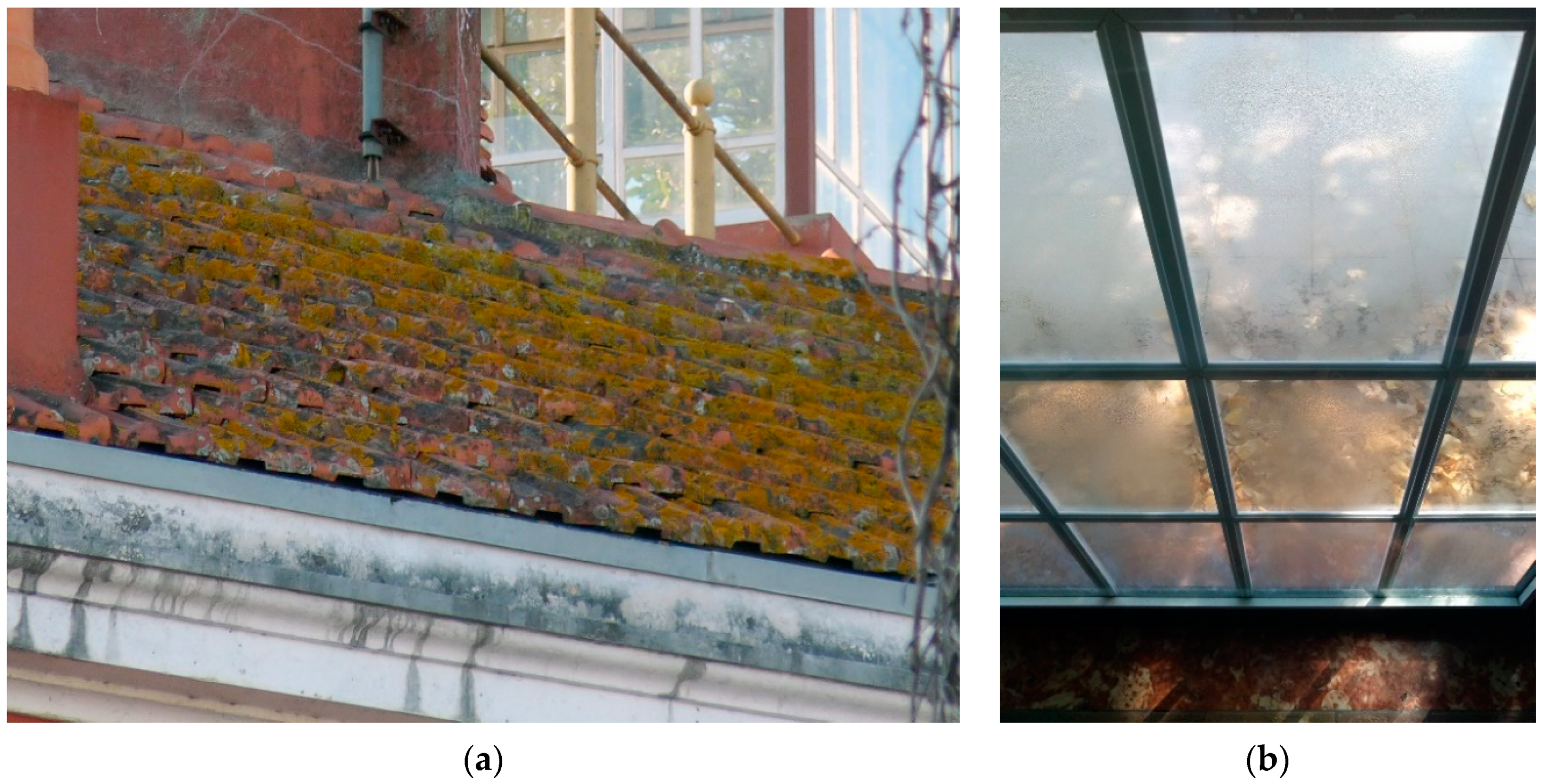 Sustainability 12 05564 g001 Sustainability 12 05564 g001