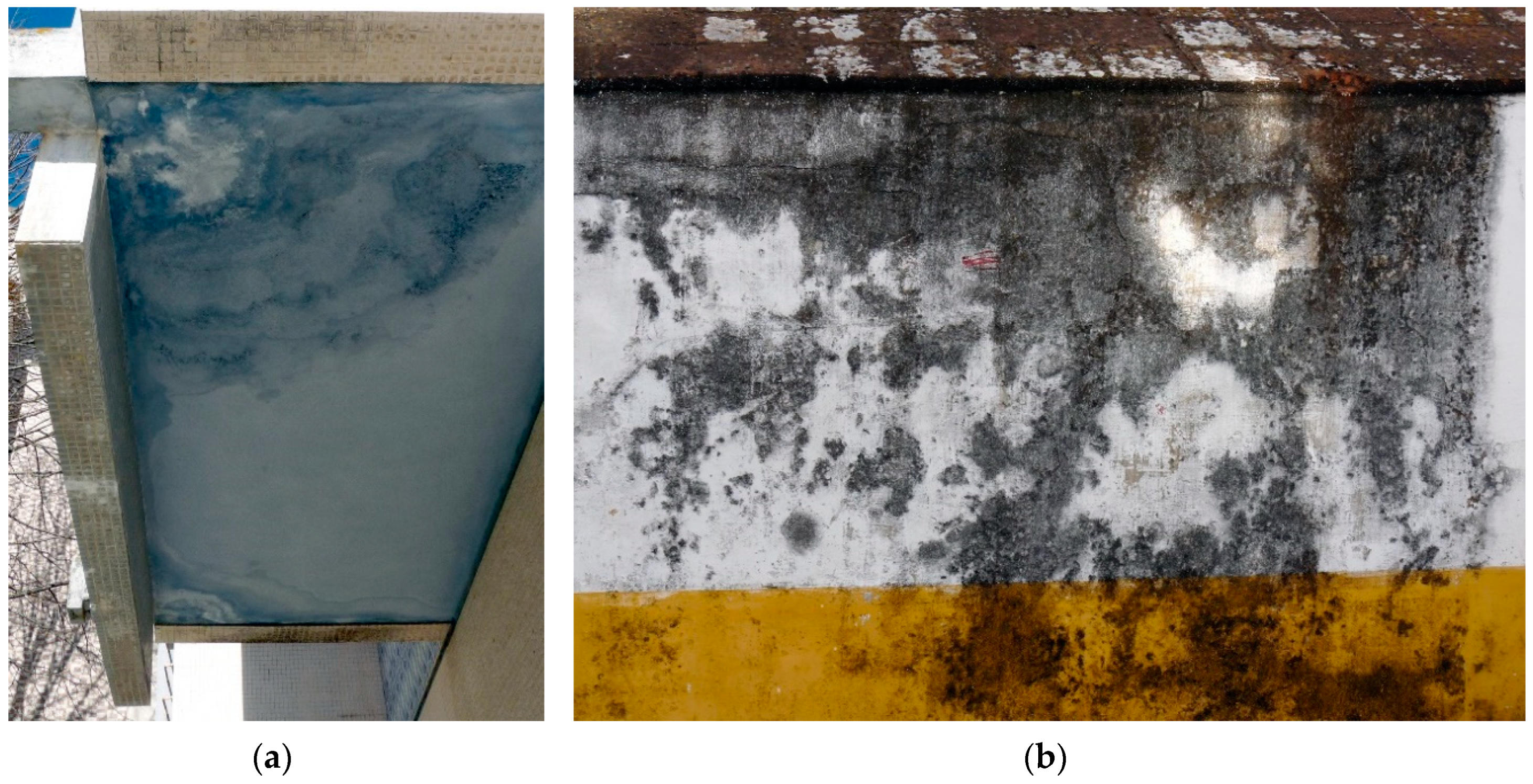 Sustainability 12 05564 g007 Sustainability 12 05564 g007