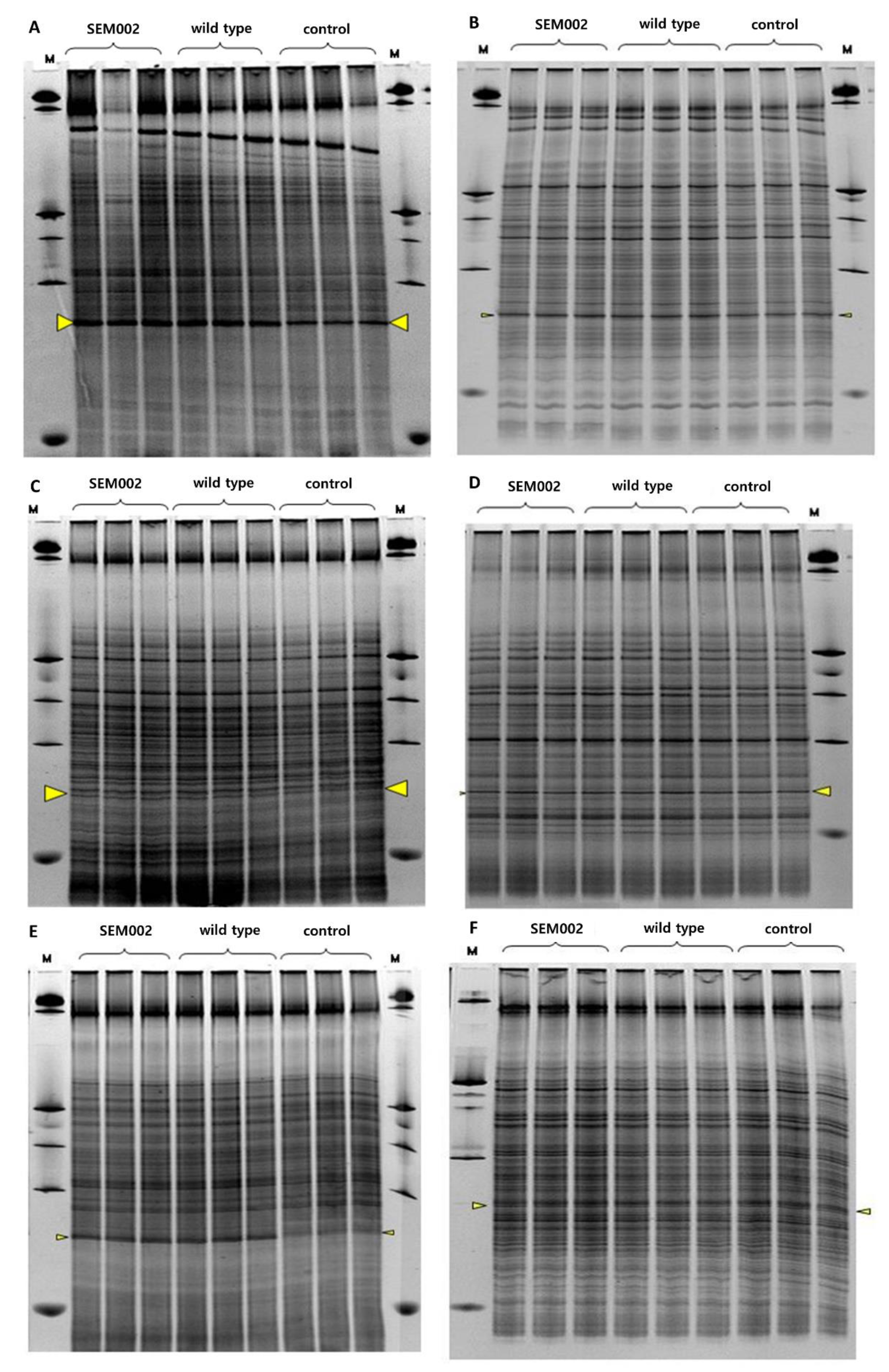 Sustainability 12 05566 g004