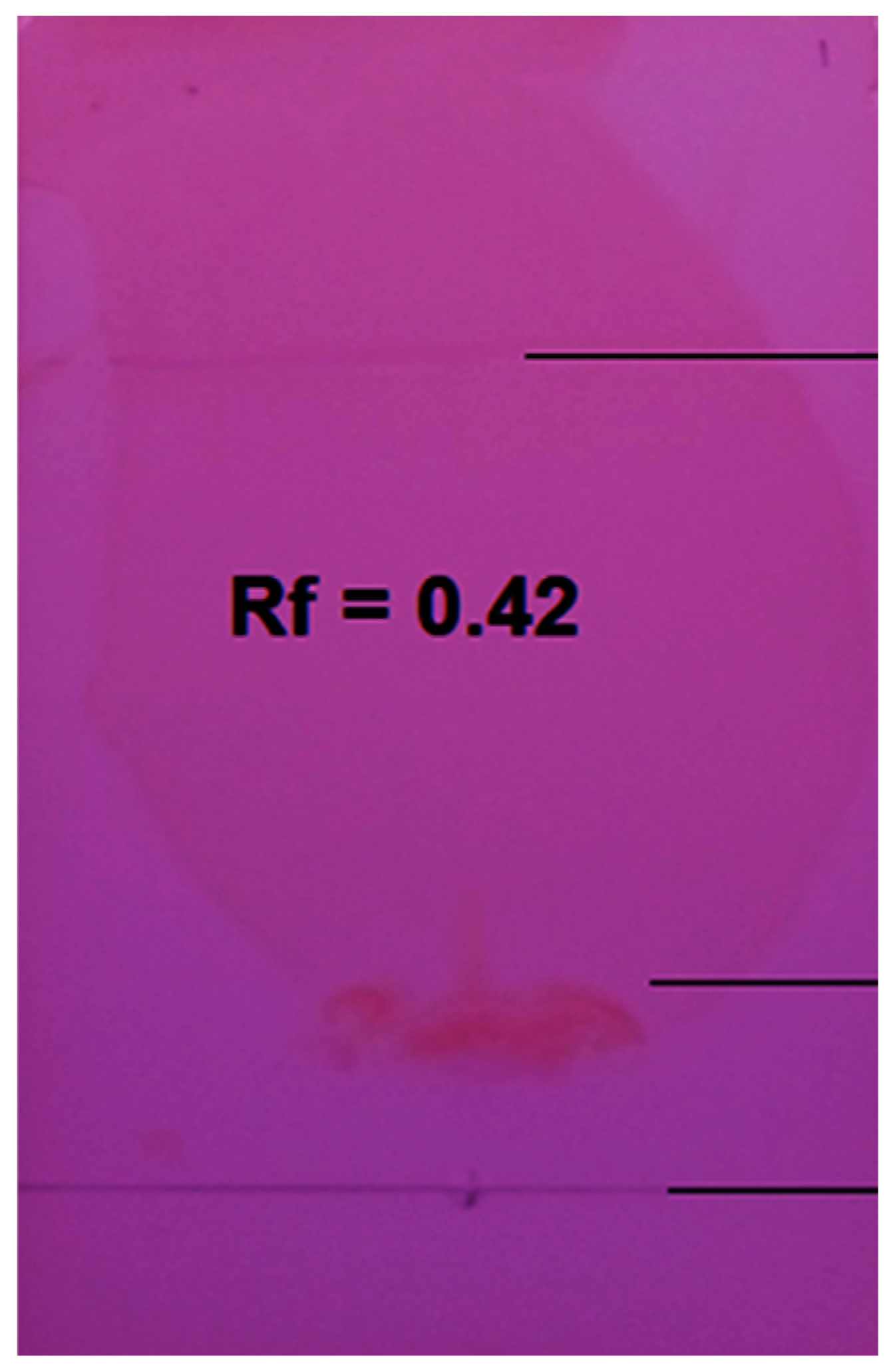 Sustainability 12 05613 g004