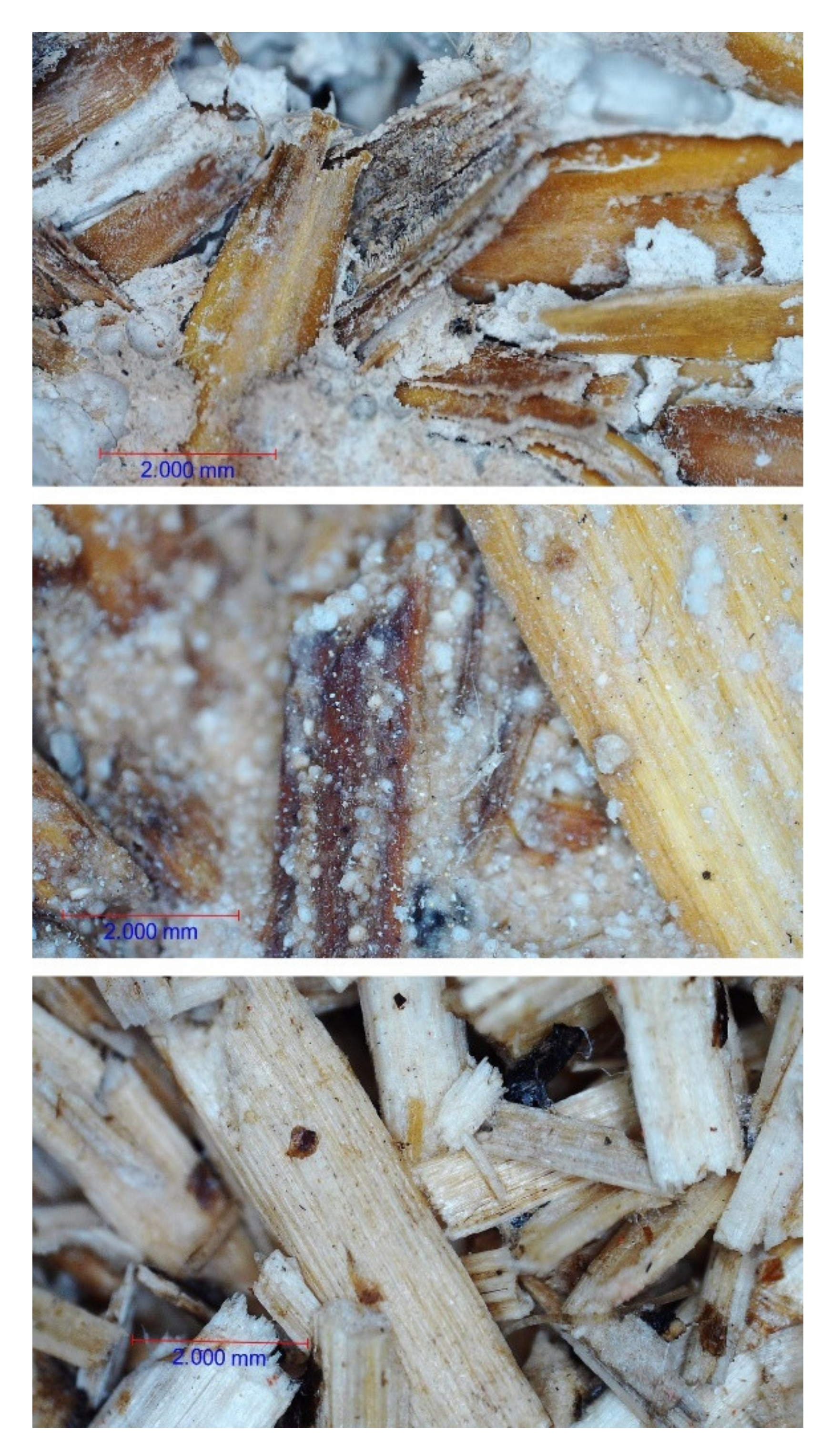 Sustainability 12 05666 g002