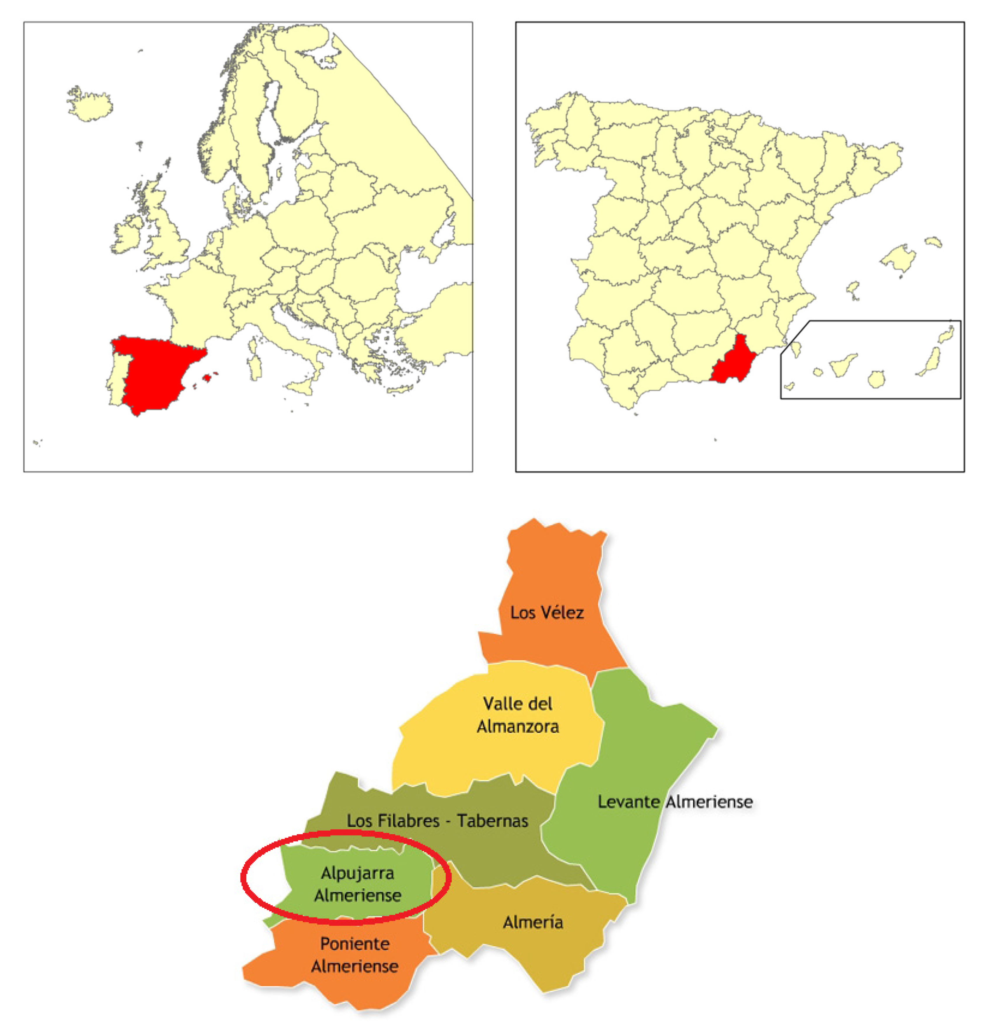 Sustainability 12 05672 g001