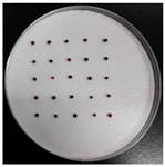 Sustainability 12 05751 i001 Sustainability 12 05751 i001