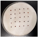 Sustainability 12 05751 i002 Sustainability 12 05751 i002