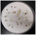 Sustainability 12 05751 i003 Sustainability 12 05751 i003