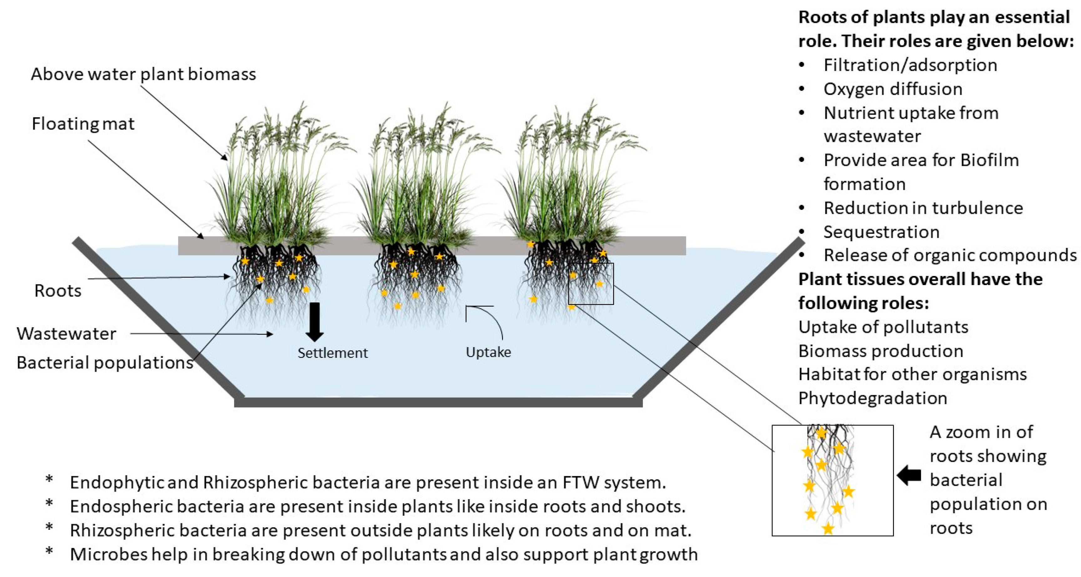 Sustainability 12 05801 g001 Sustainability 12 05801 g001