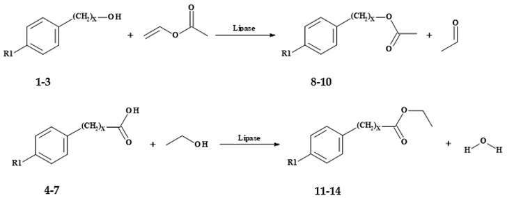 Sustainability 12 05804 i001