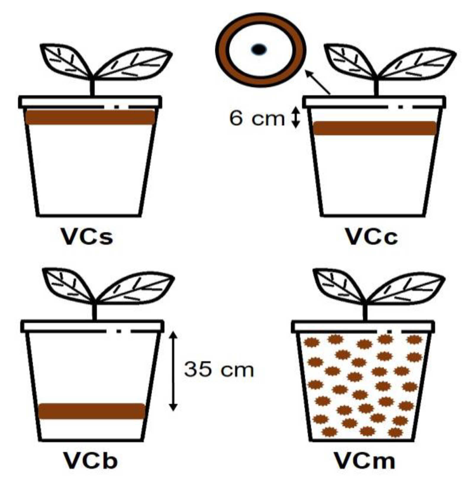 Sustainability 12 05822 g001