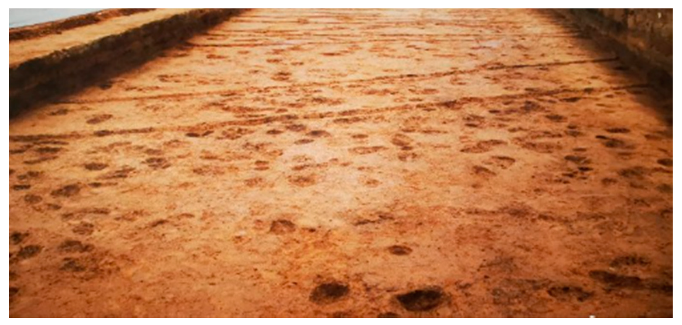 Sustainability 12 05830 g008