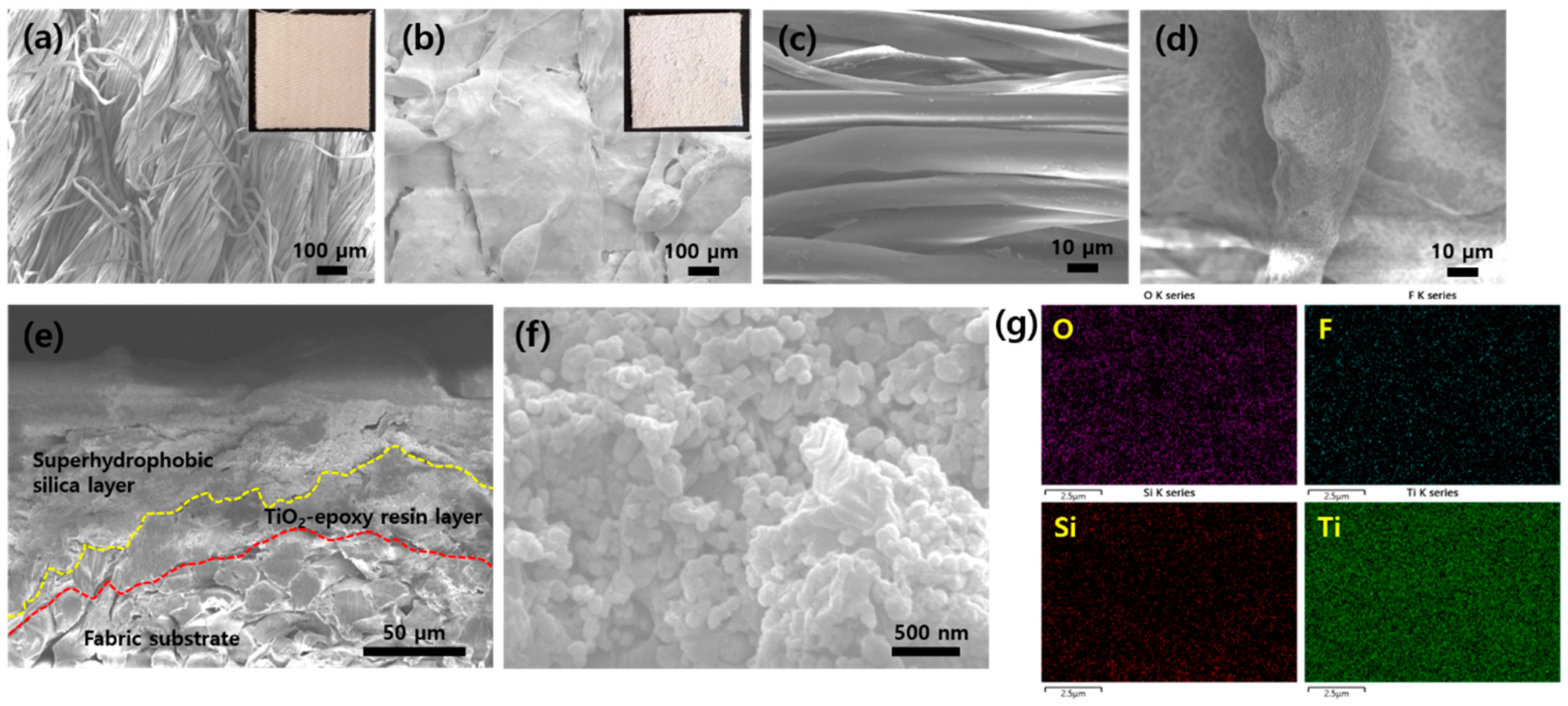 Sustainability 12 05876 g001