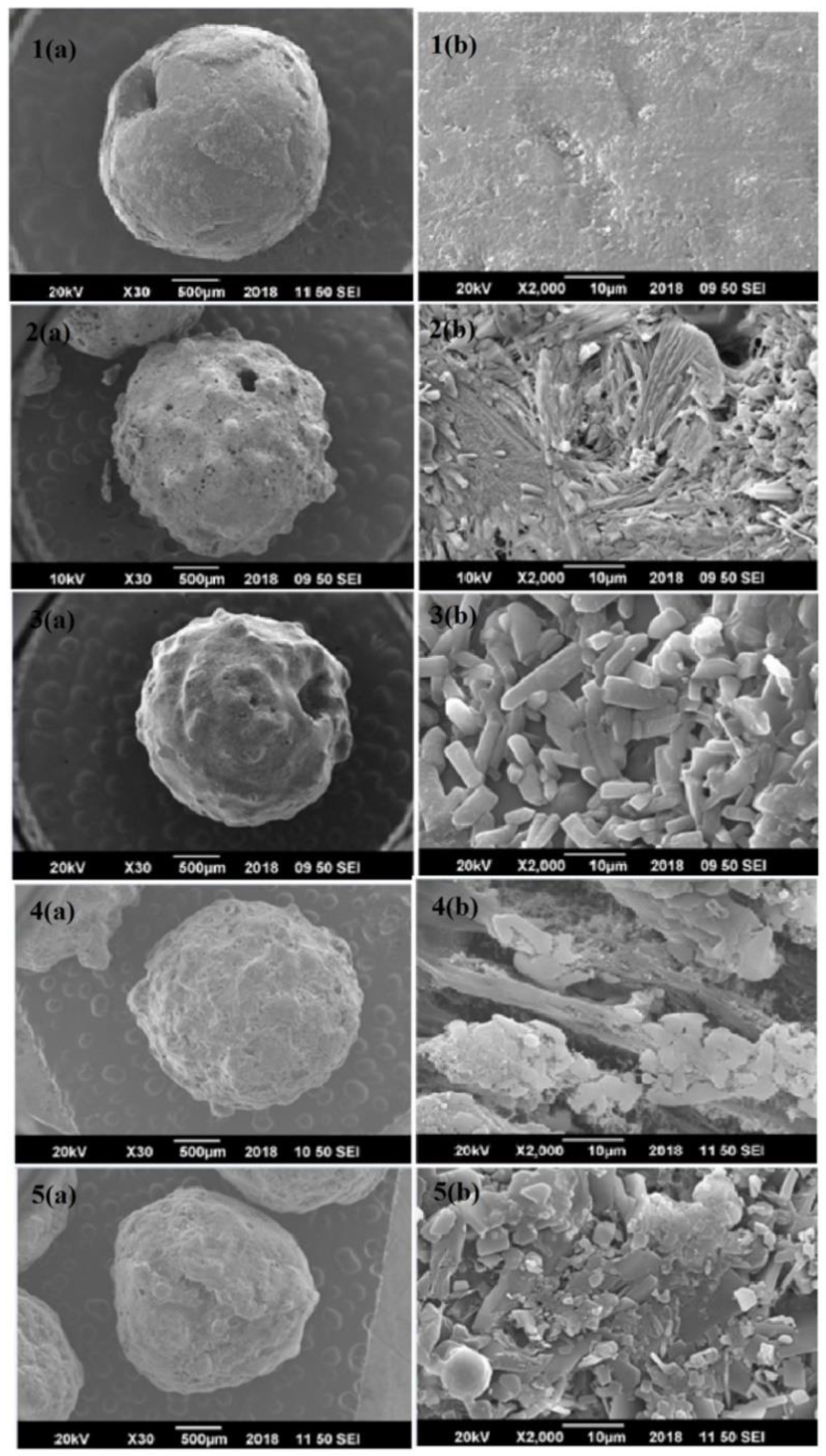 Sustainability 12 05944 g002 Sustainability 12 05944 g002