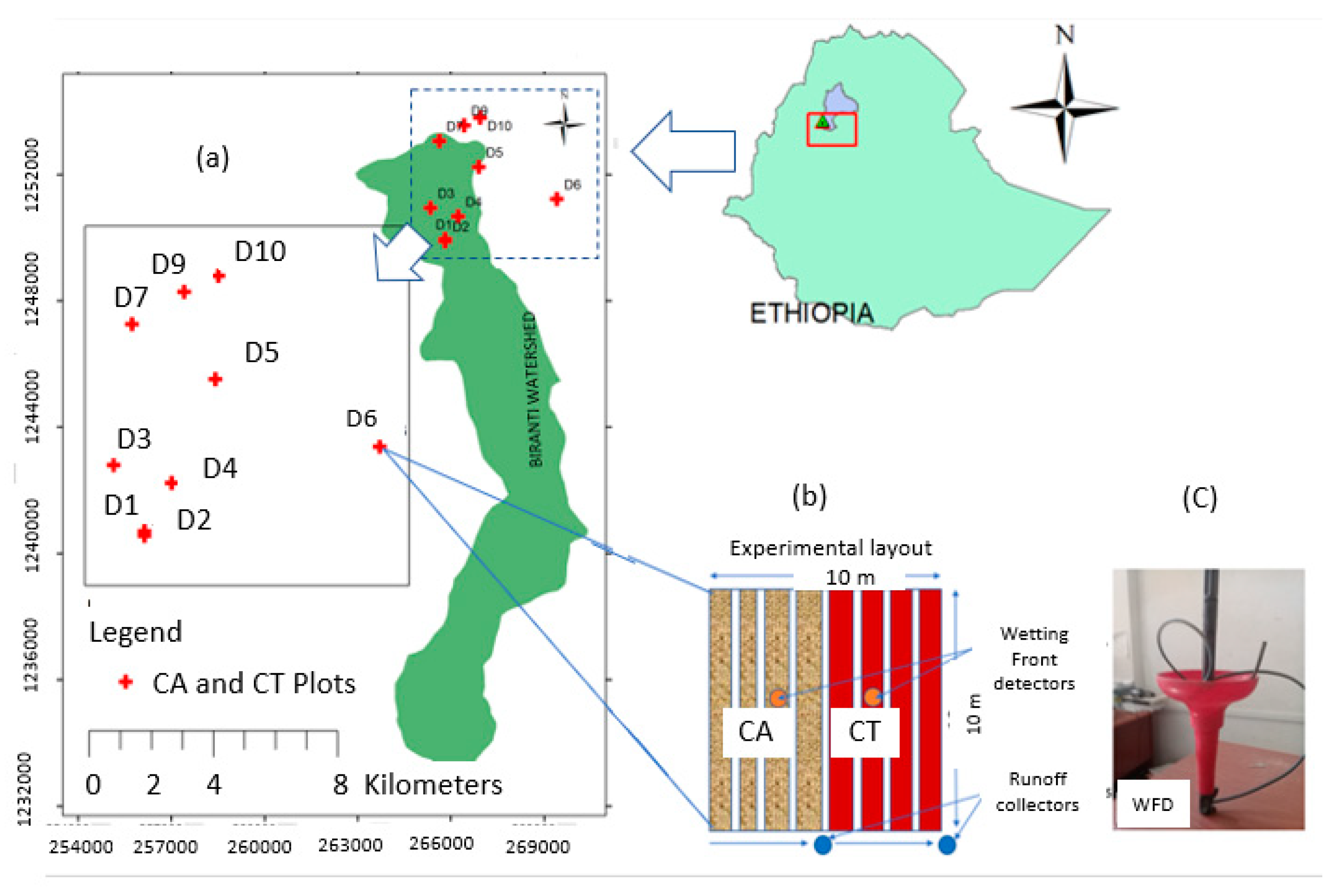 Sustainability 12 05989 g001