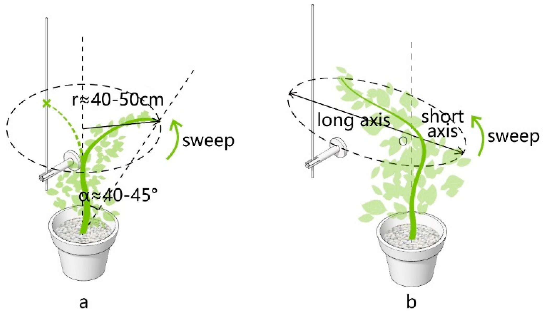 Sustainability 12 06004 g012