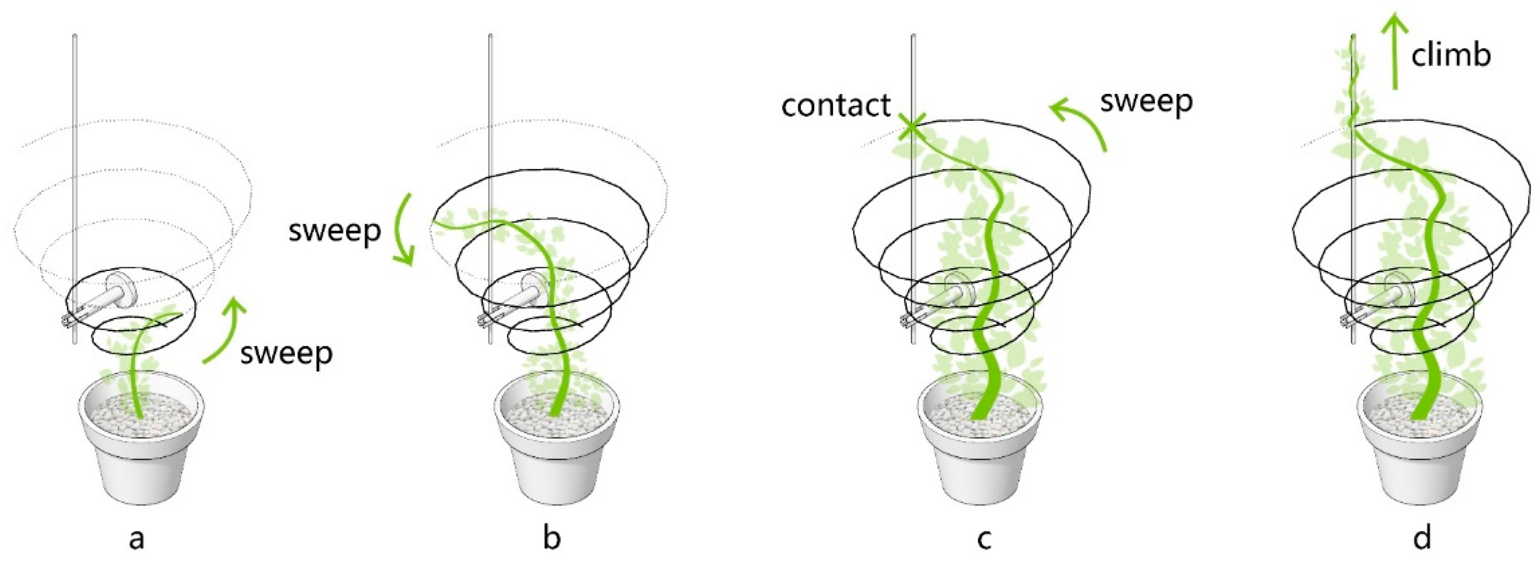 Sustainability 12 06004 g013