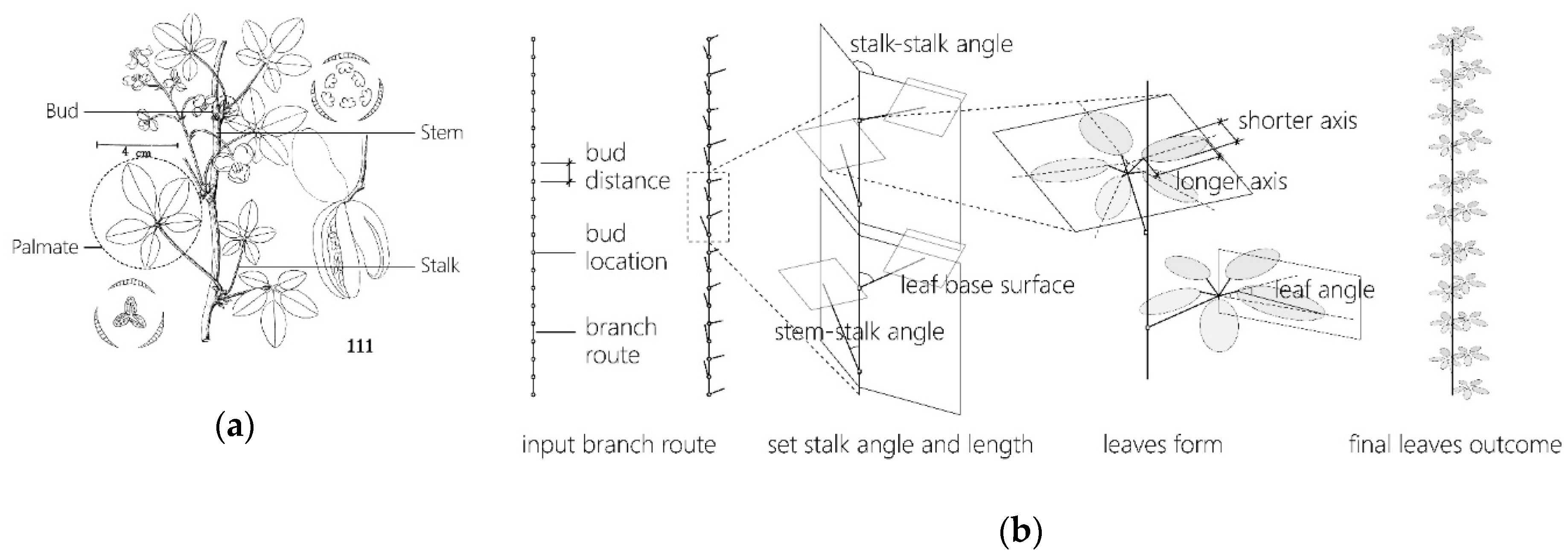 Sustainability 12 06004 g019