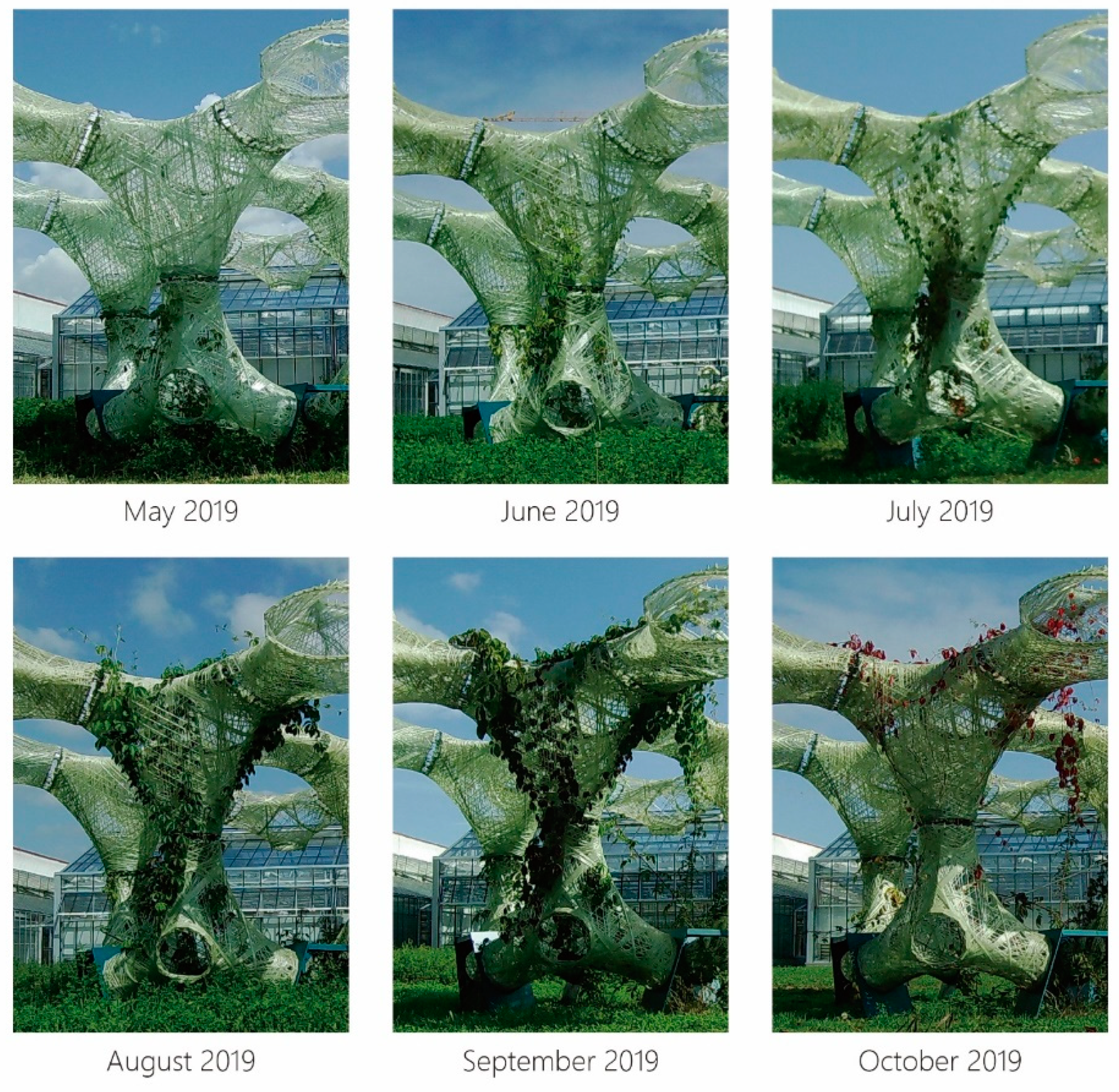 Sustainability 12 06004 g025