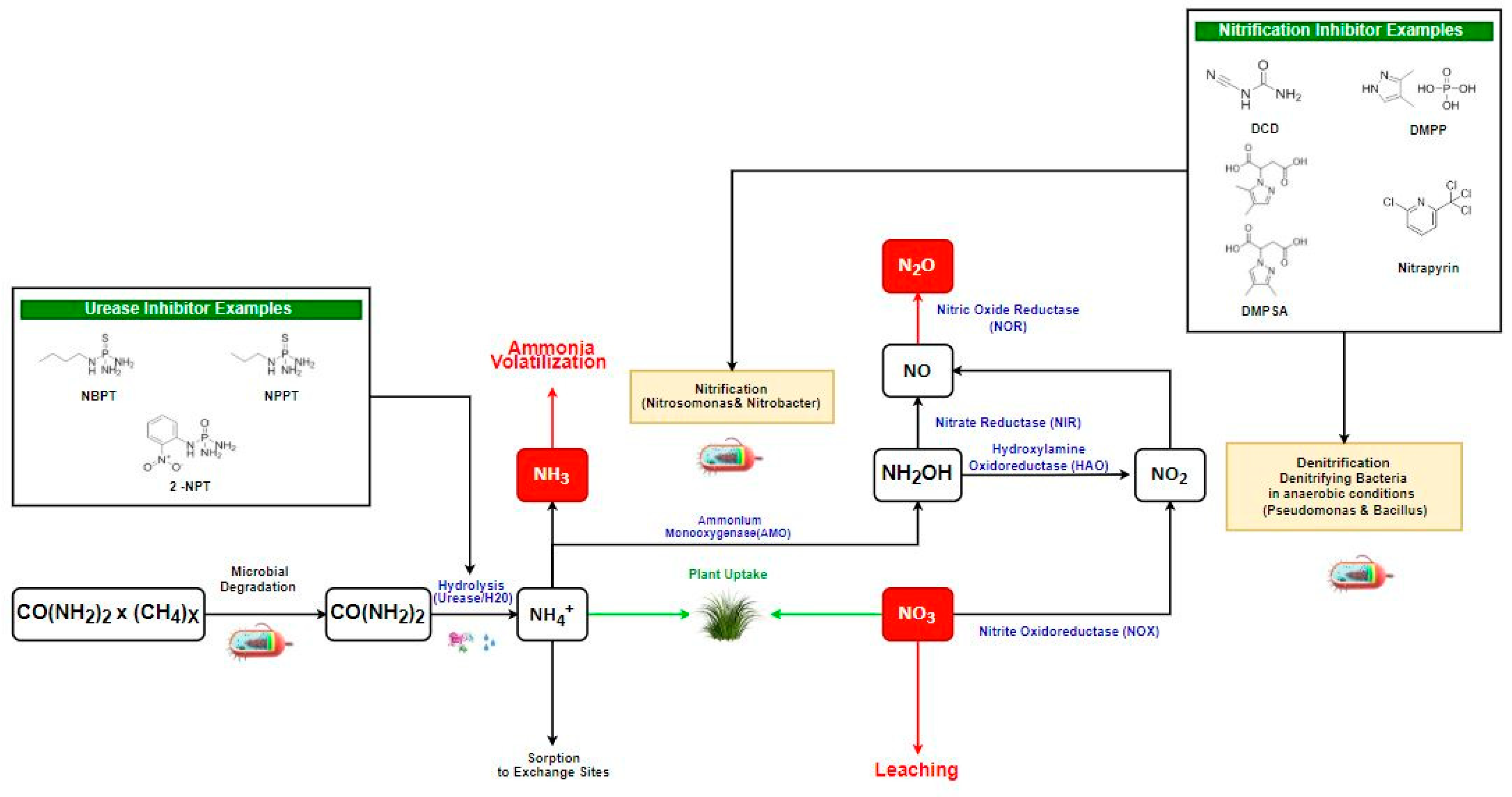 Sustainability 12 06018 g001