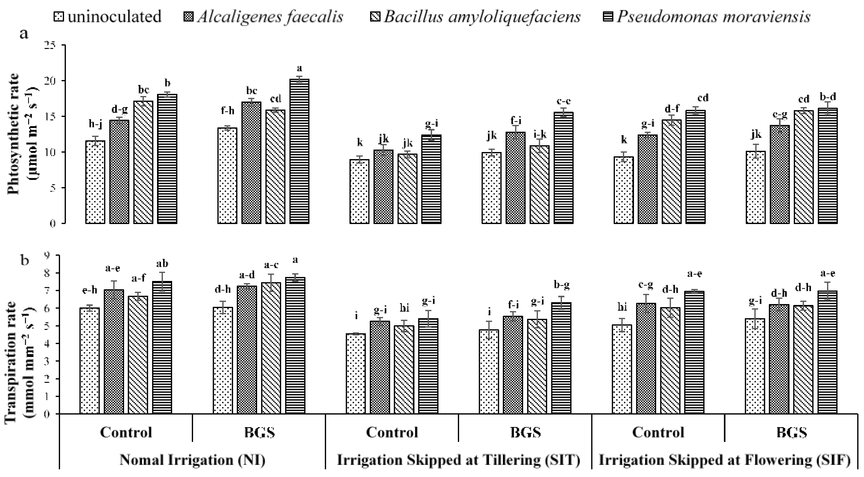 Sustainability 12 06022 g001 Sustainability 12 06022 g001