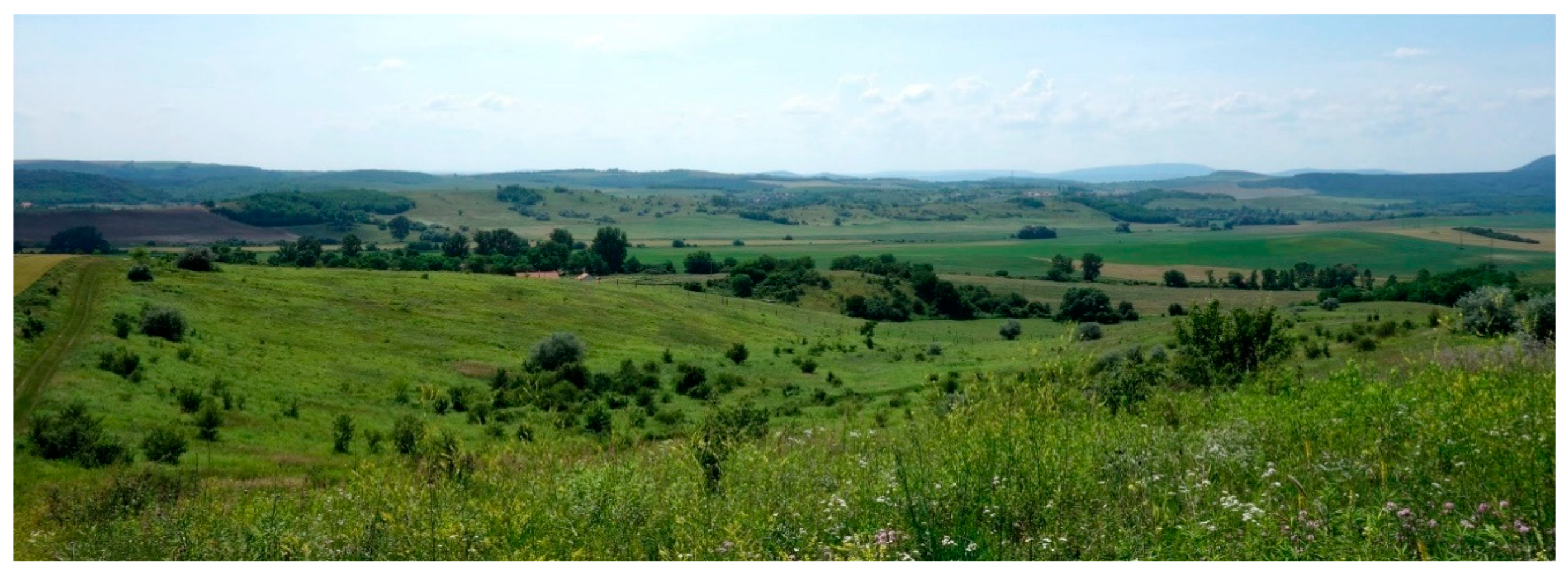 Sustainability 12 06048 g003