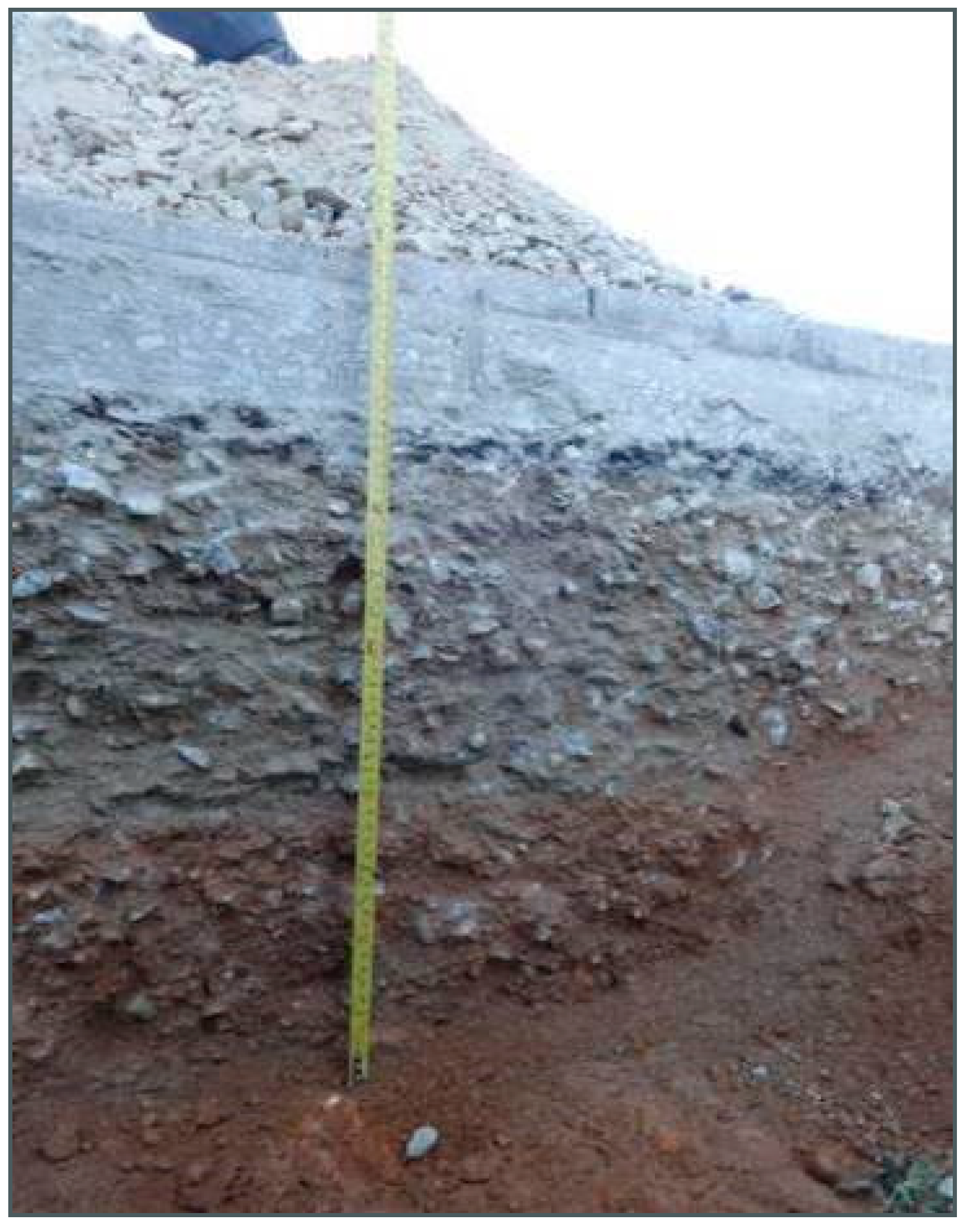 Sustainability 12 06099 g006