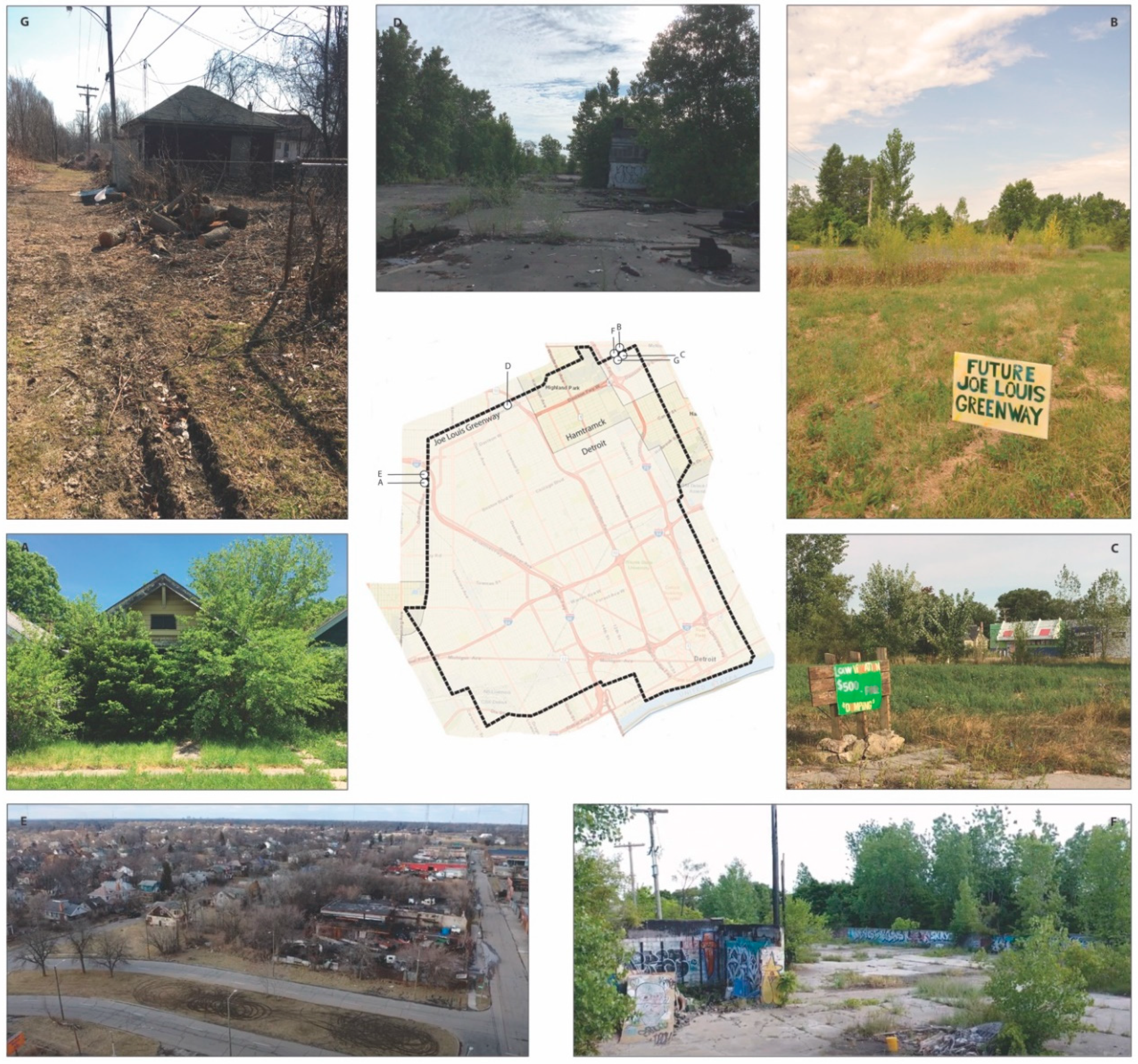 Sustainability 12 06189 g004 Sustainability 12 06189 g004