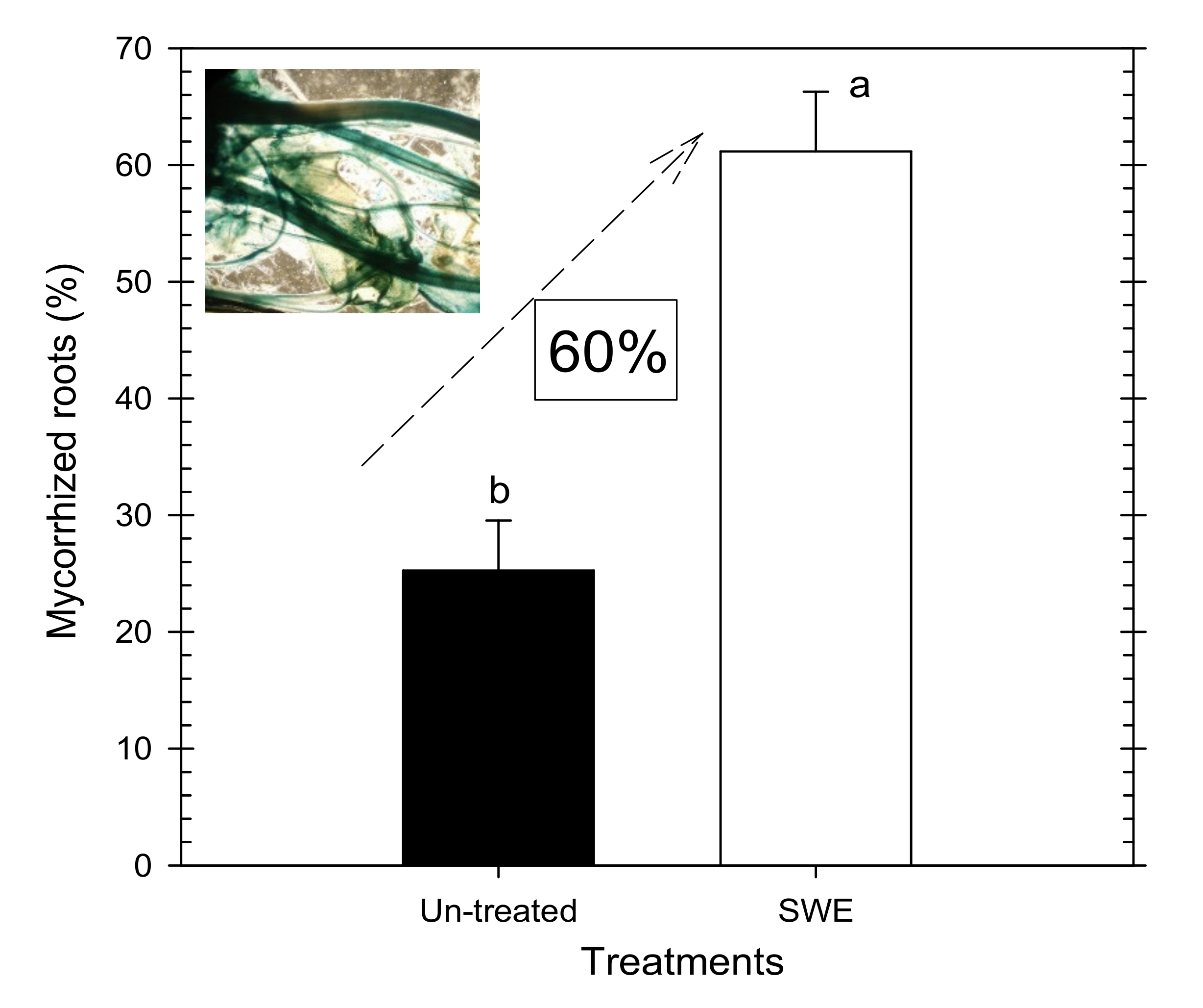 Sustainability 12 06190 g008