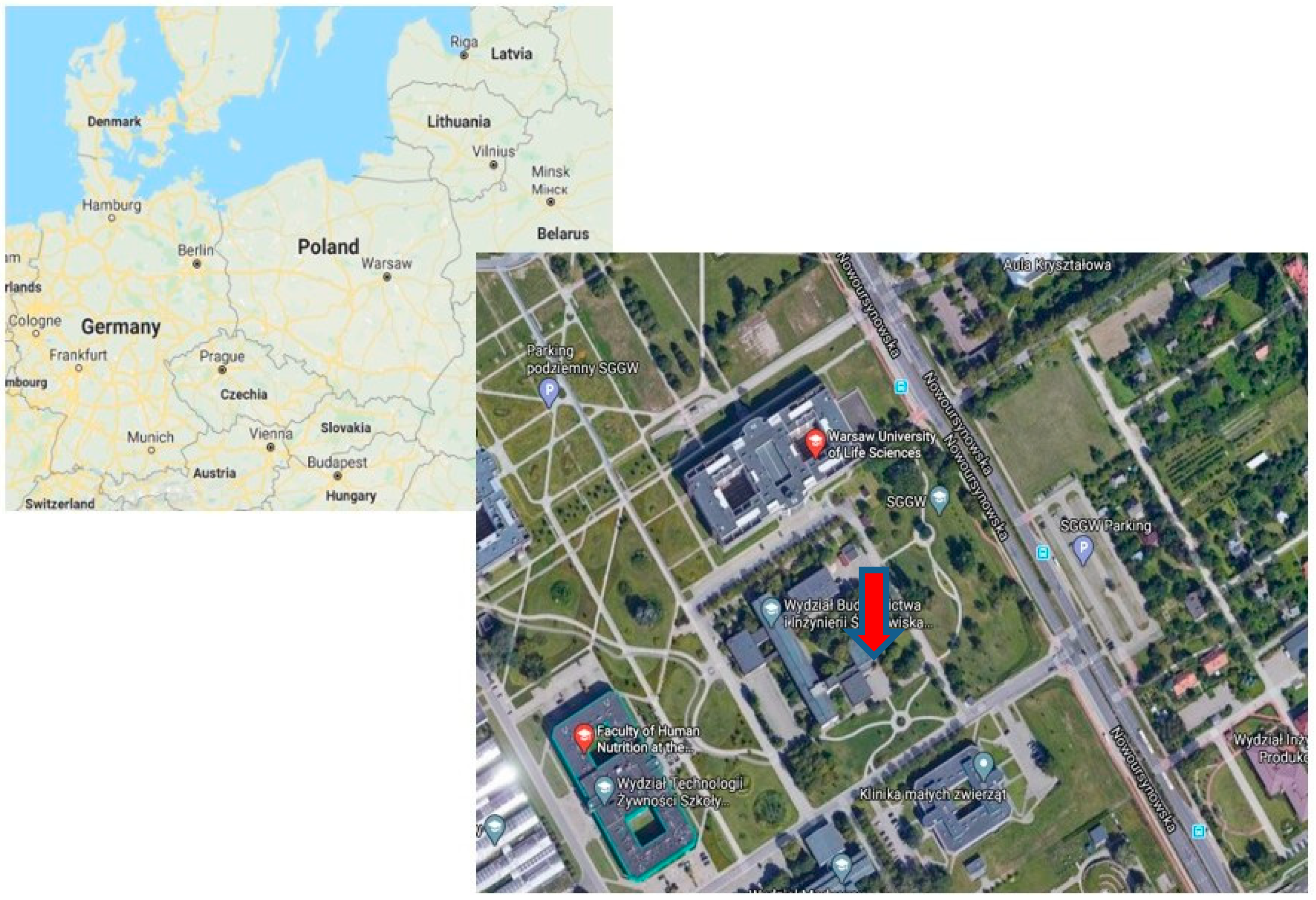 Sustainability 12 06196 g001