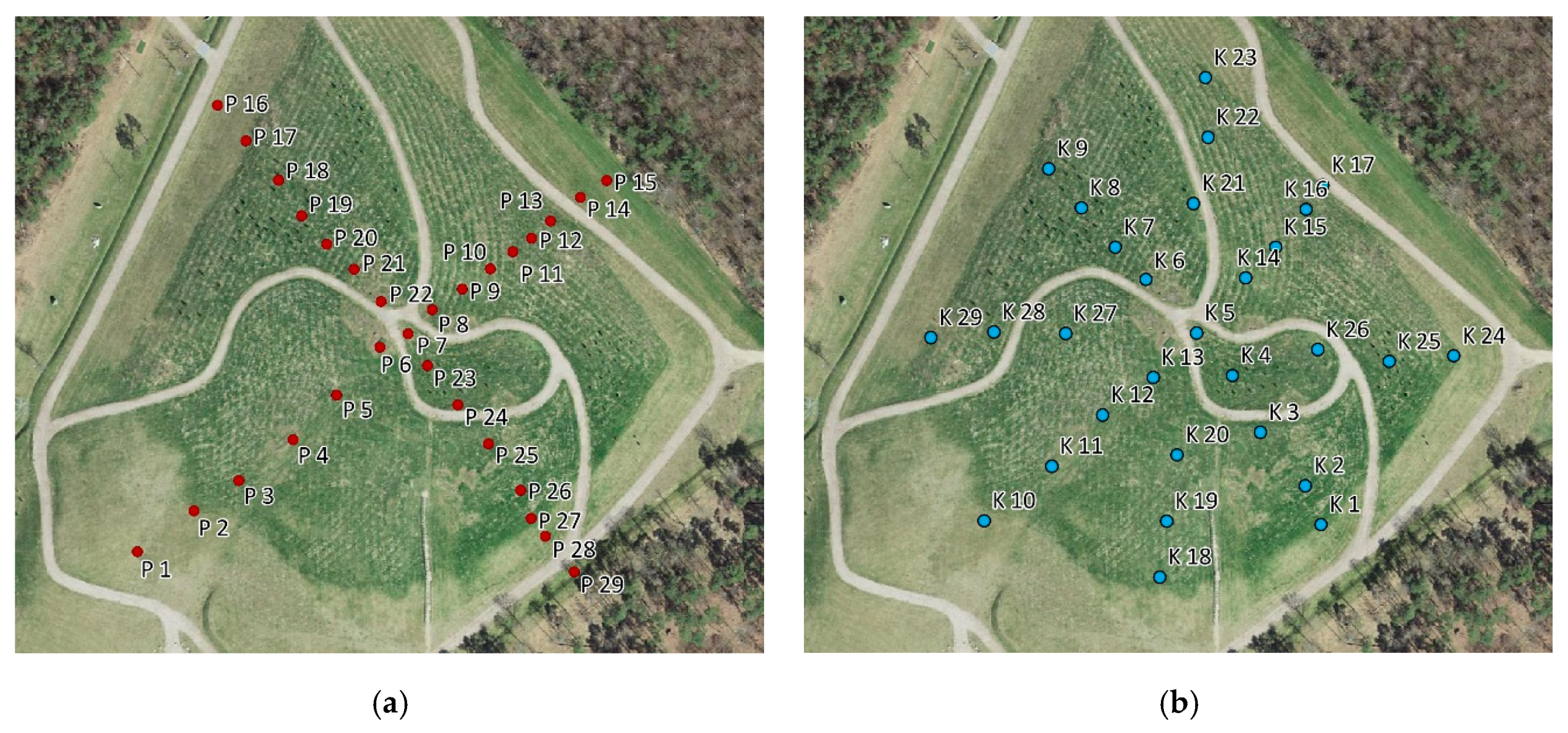 Sustainability 12 06209 g003