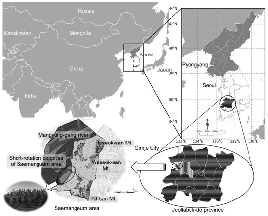 Sustainability 12 06244 g0a1