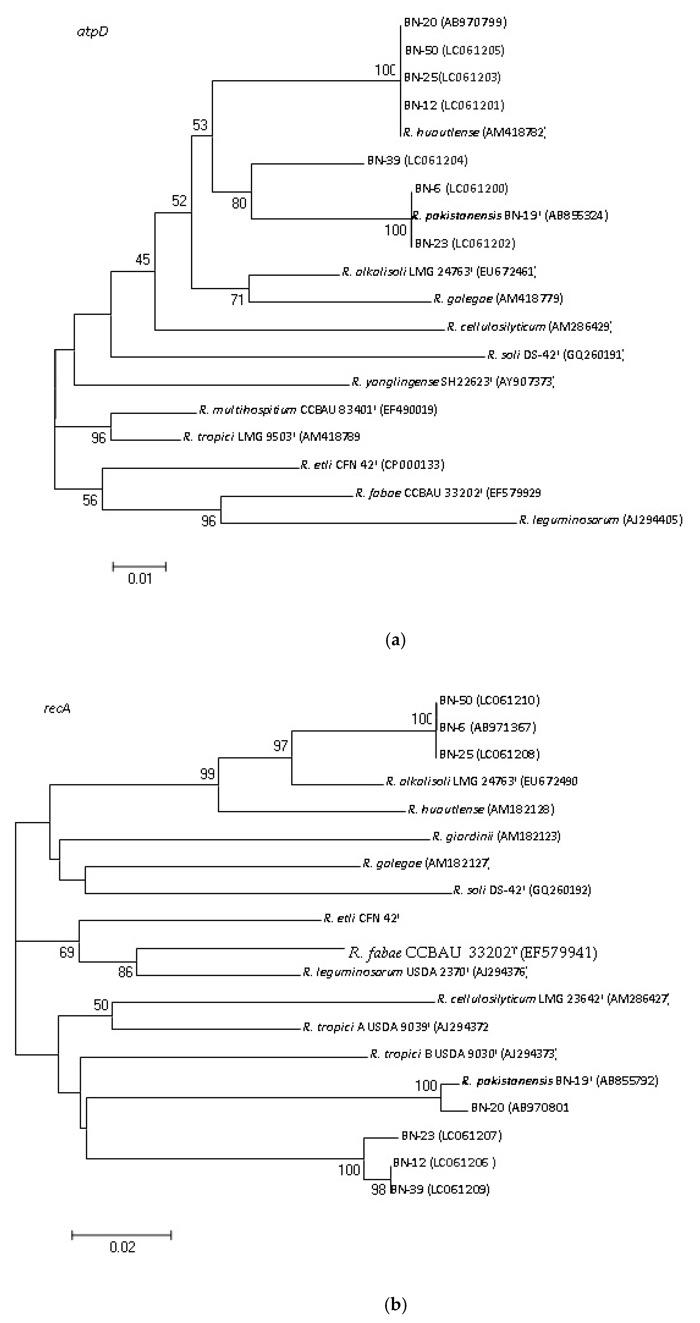 Sustainability 12 06259 g002a